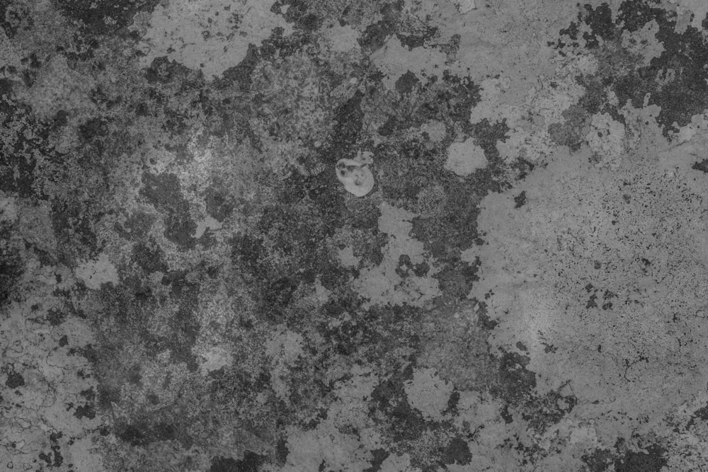 a black and white photo of a grungy surface