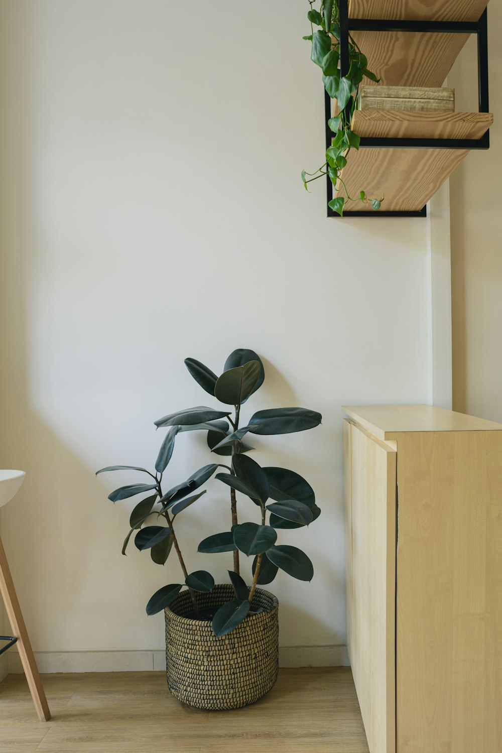 a potted plant sitting next to a wooden shelf
