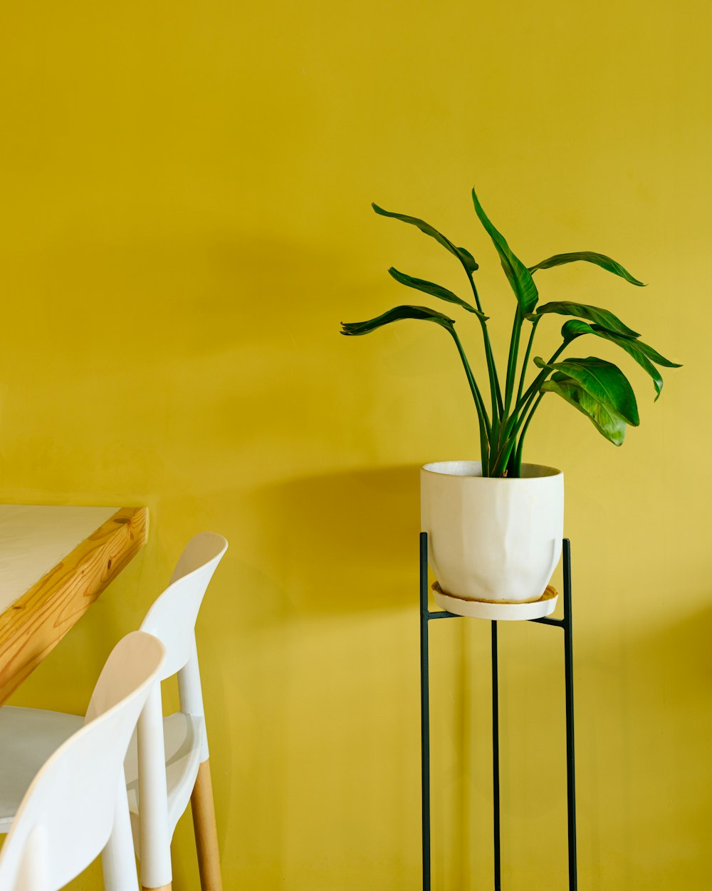 a potted plant sitting on a stand next to a table