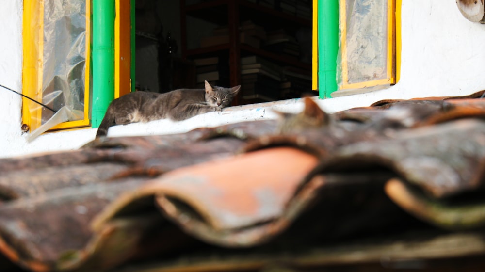 a cat sitting in the window of a house