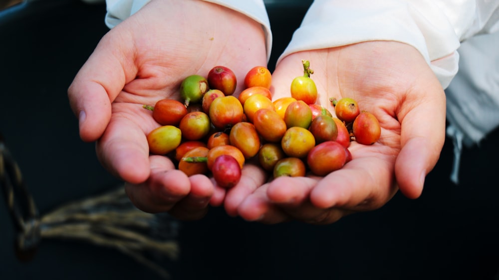 a person holding a handful of fruit in their hands