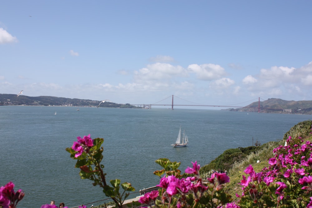 a sailboat in the water with a bridge in the background