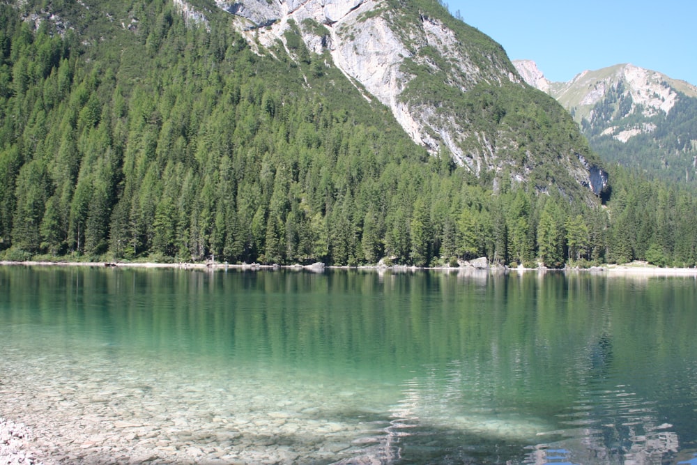 Un cuerpo de agua rodeado de montañas y árboles