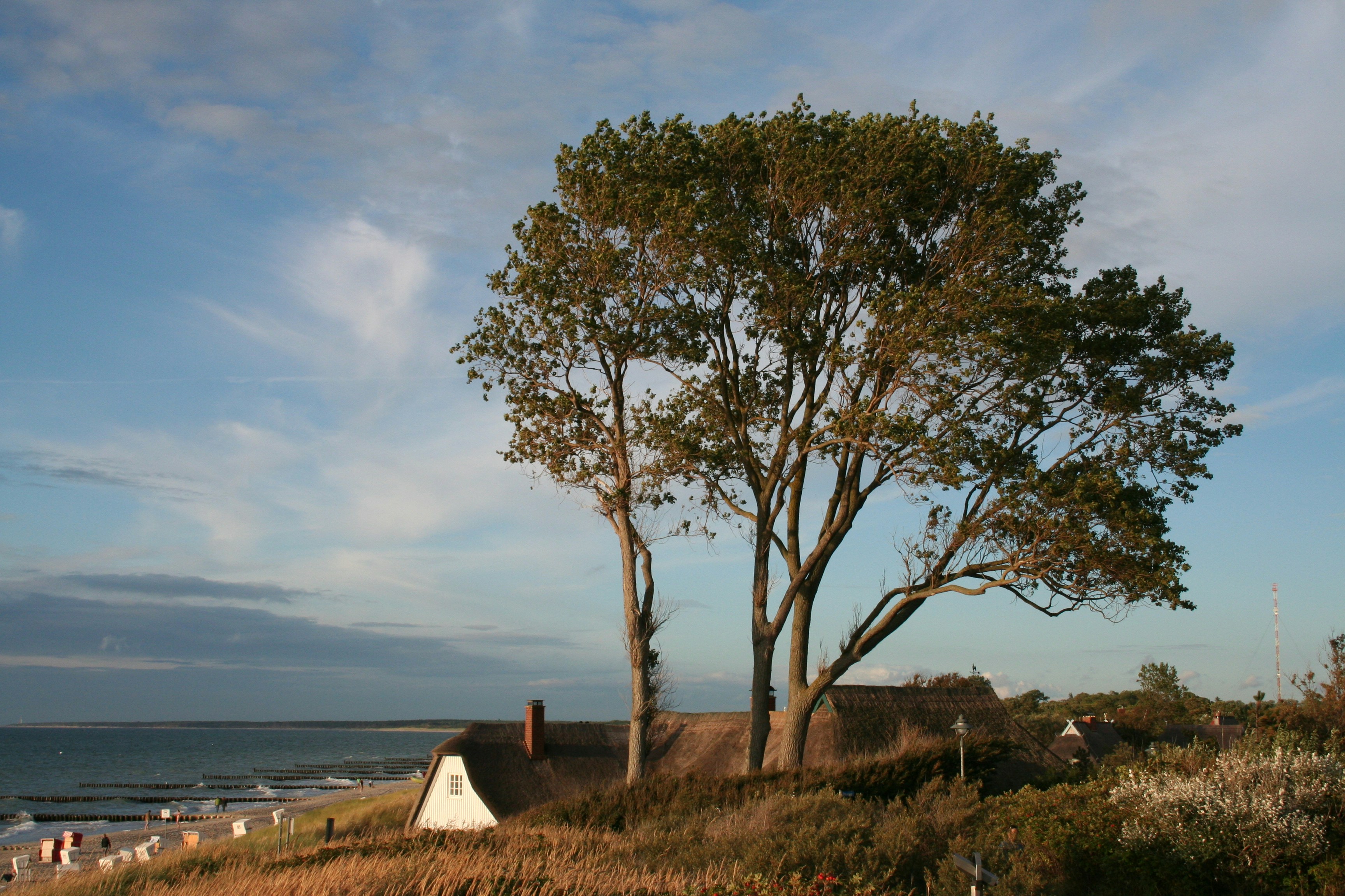 Ahrenshoop West Beach view 2
