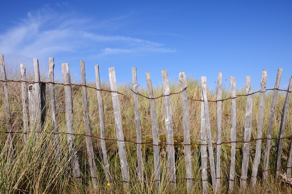 a wooden fence in a field with tall grass