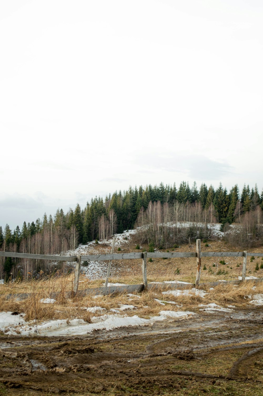 a field with a fence and trees in the background