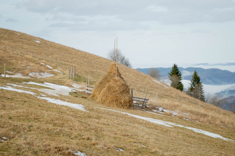 a pile of hay sitting on top of a grass covered hillside