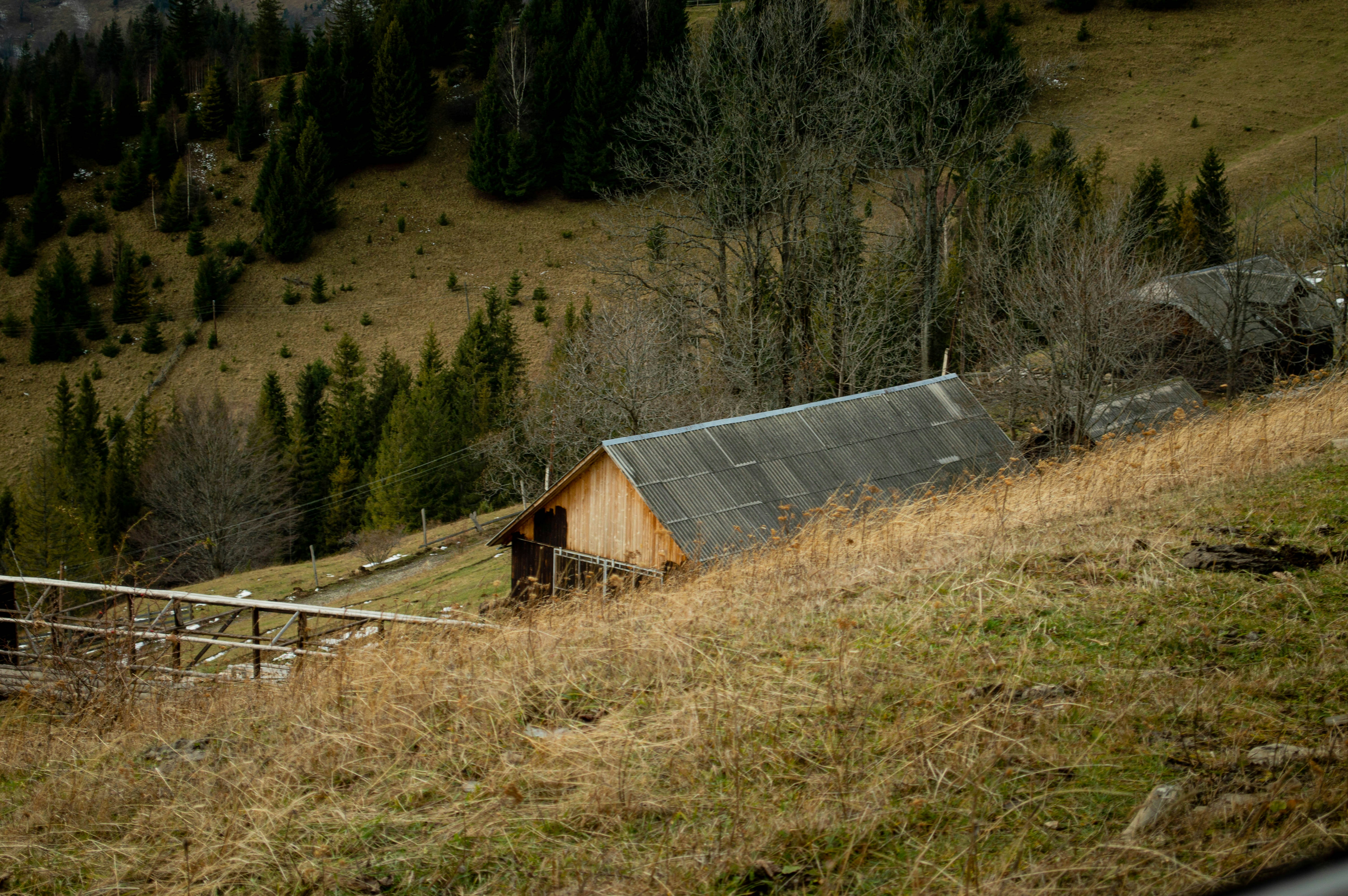 Photo by dmytrodovgan