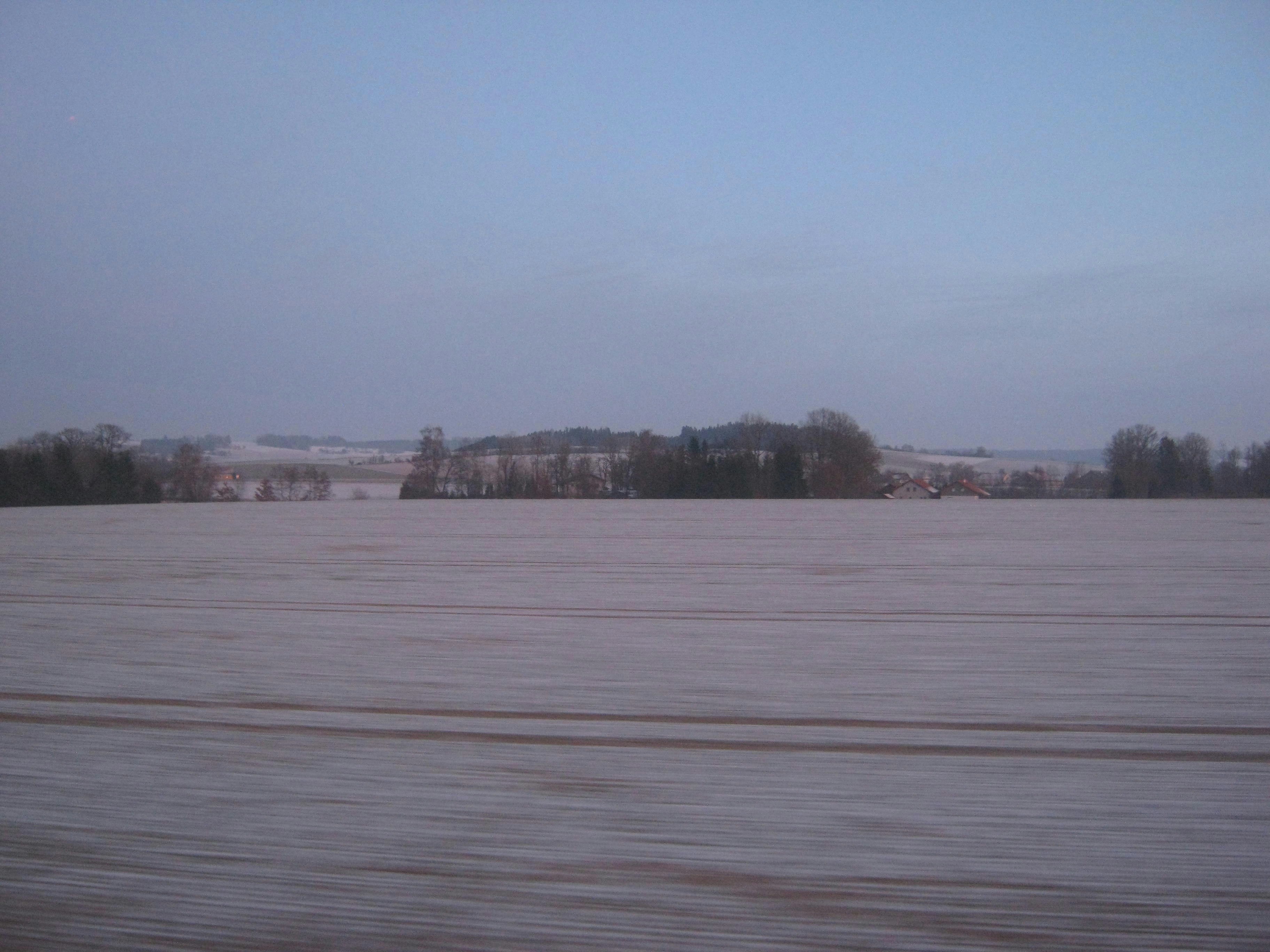 木々を背景にした大きな水域