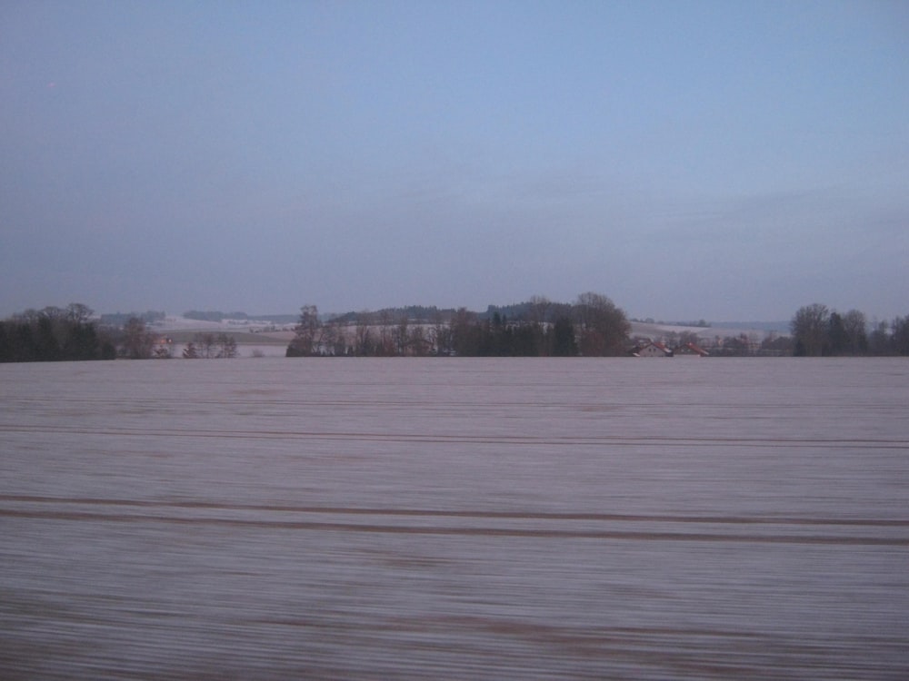 a large body of water with trees in the background