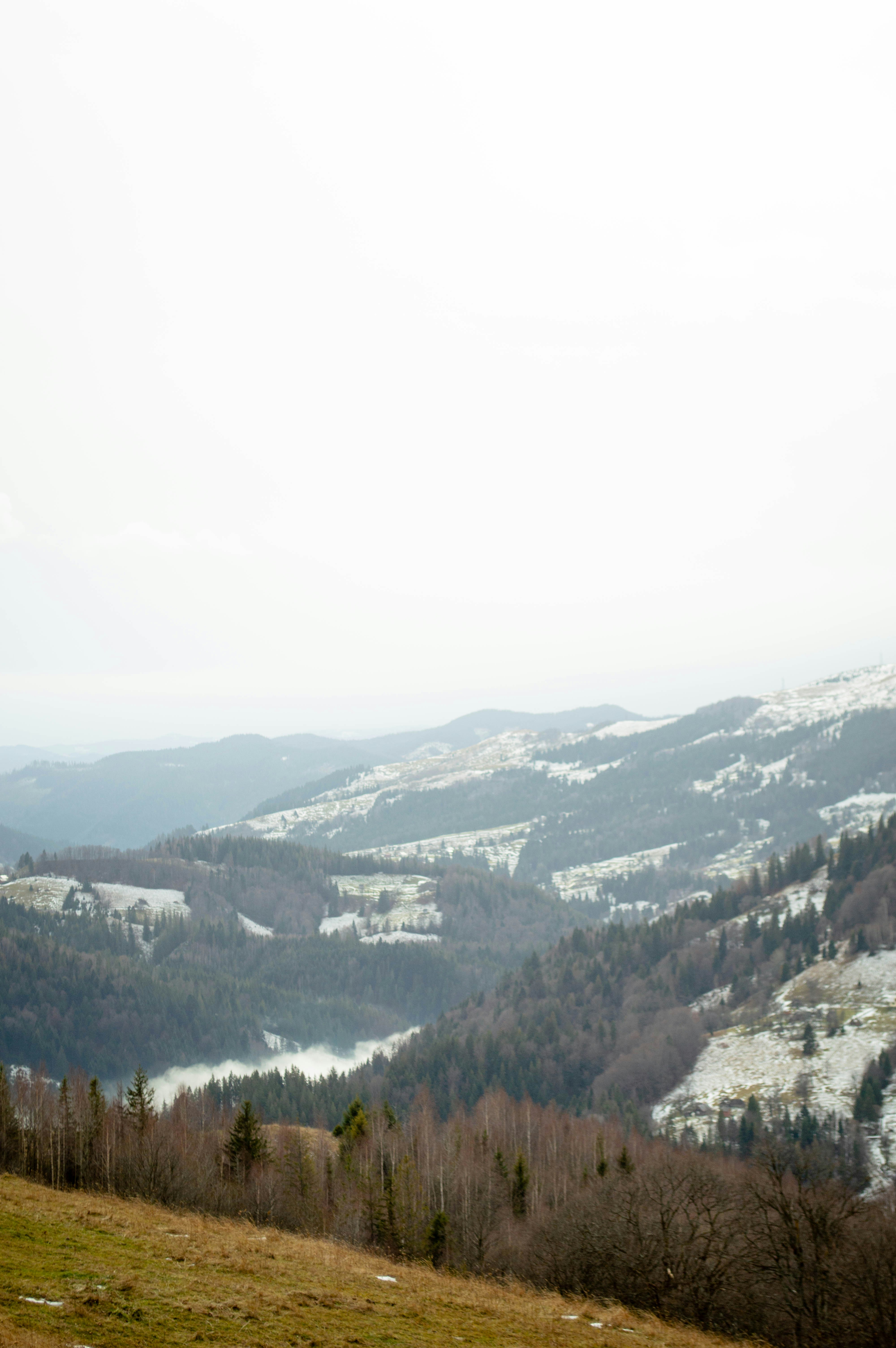 Photo by dmytrodovgan