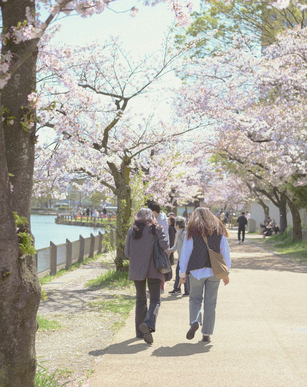 a couple of people walking down a street next to trees