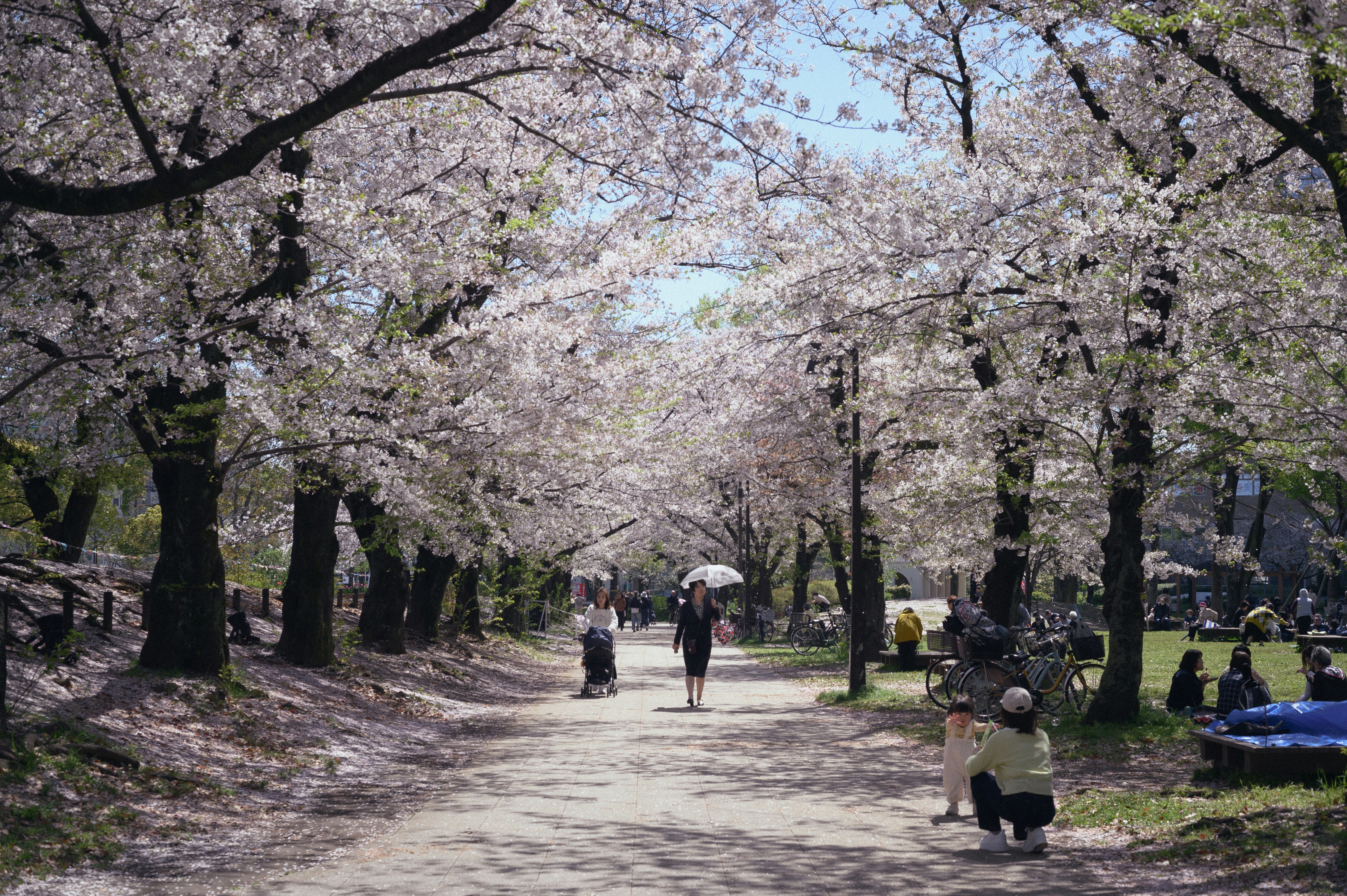 Photo by hayato_no_kiroku