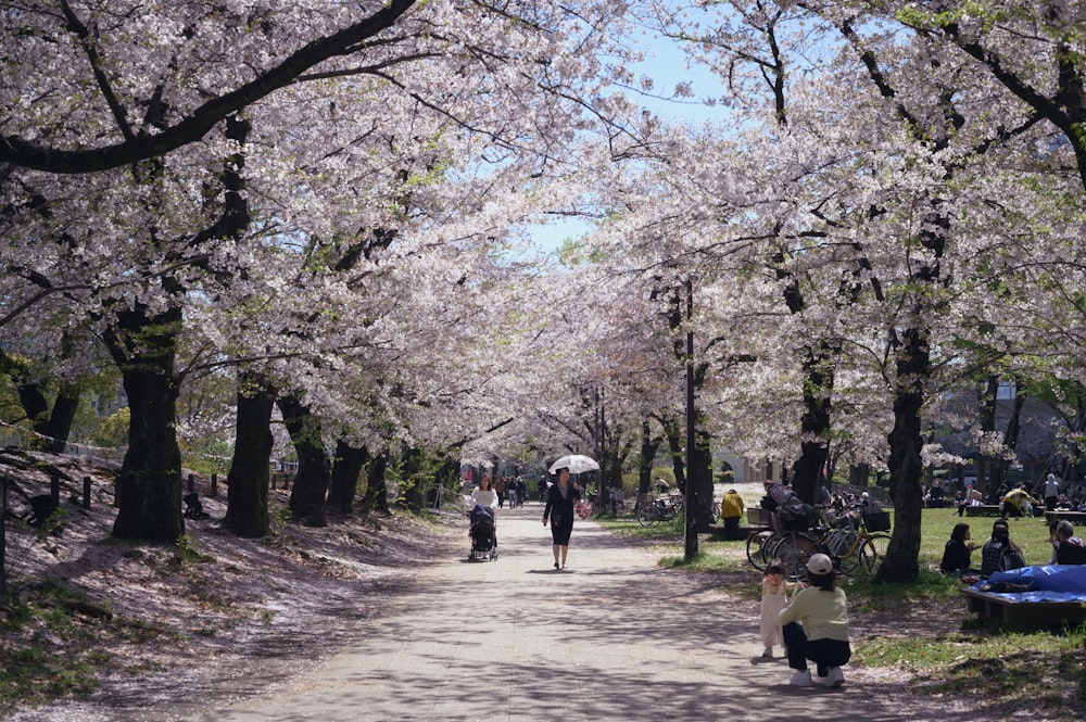 a group of people walking down a dirt road