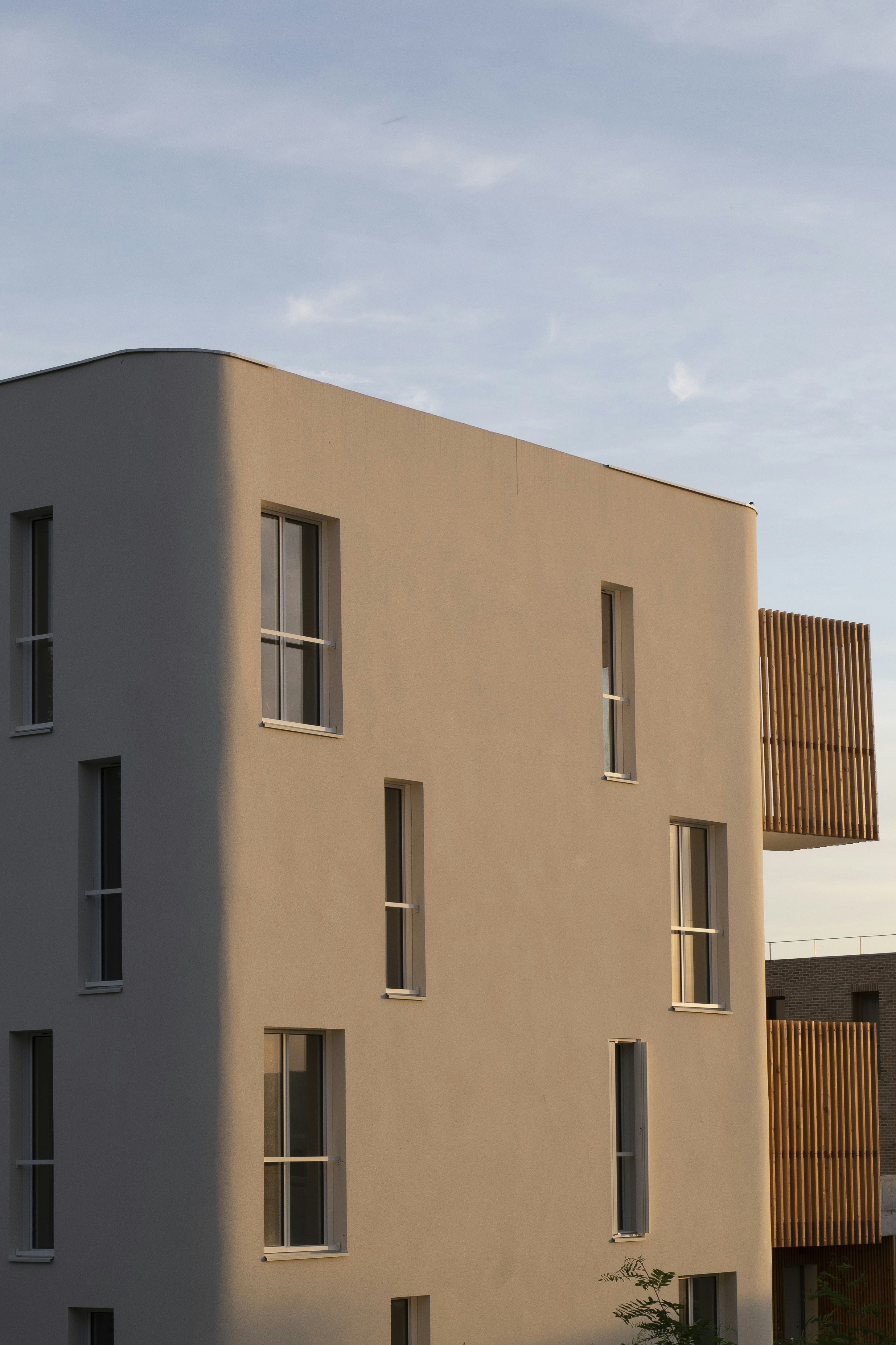 Photo by stradivariusstudio