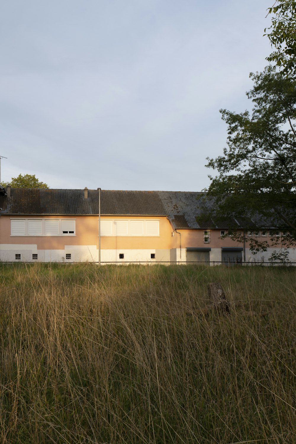 a building in a field with tall grass in front of it