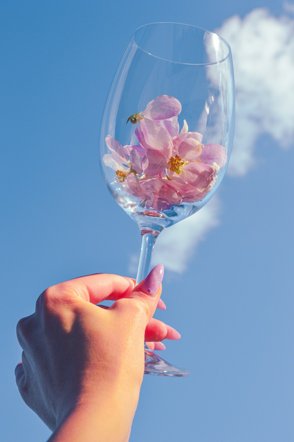 a person holding a wine glass with flowers in it