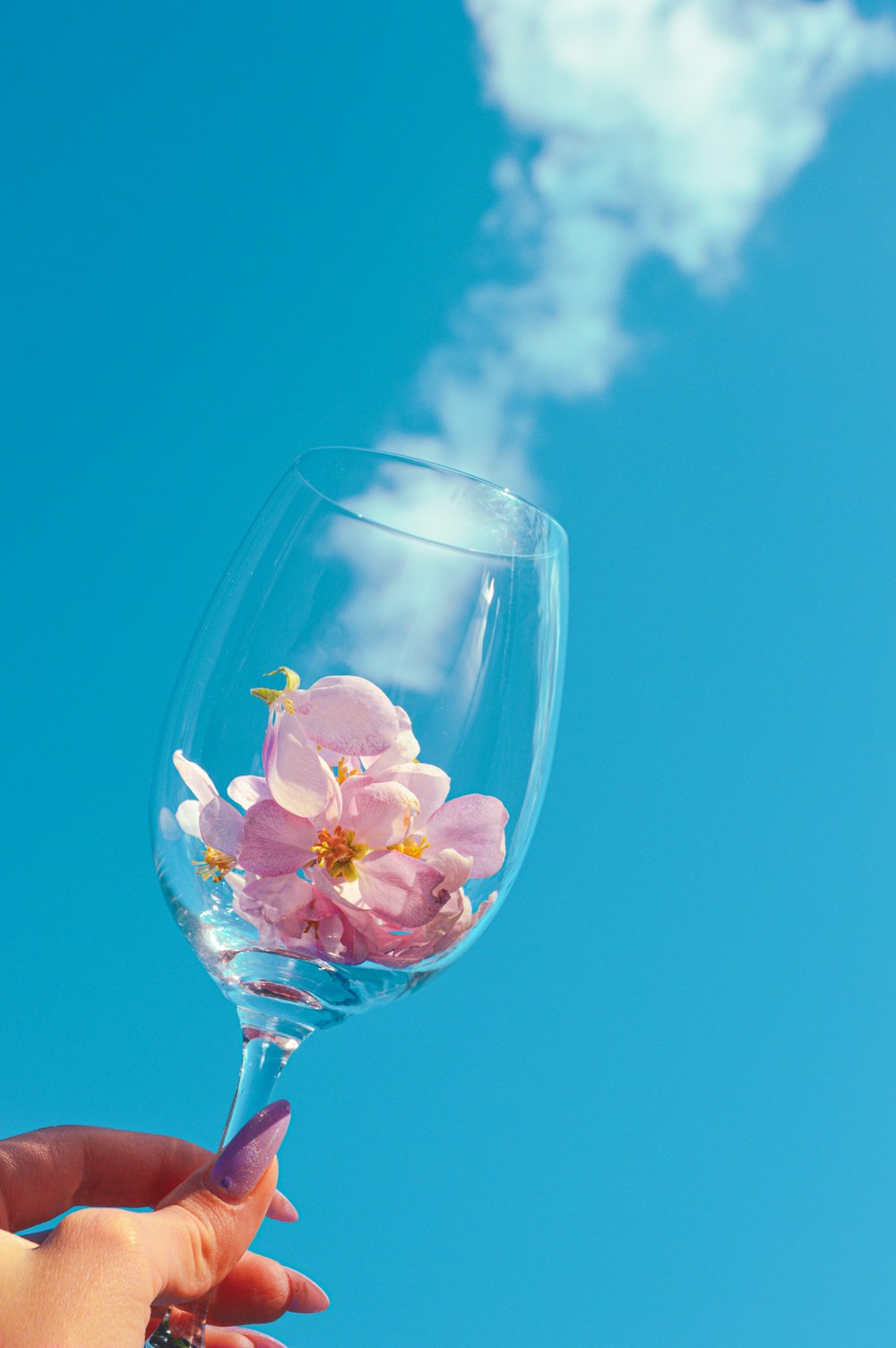 a hand holding a wine glass with a flower in it
