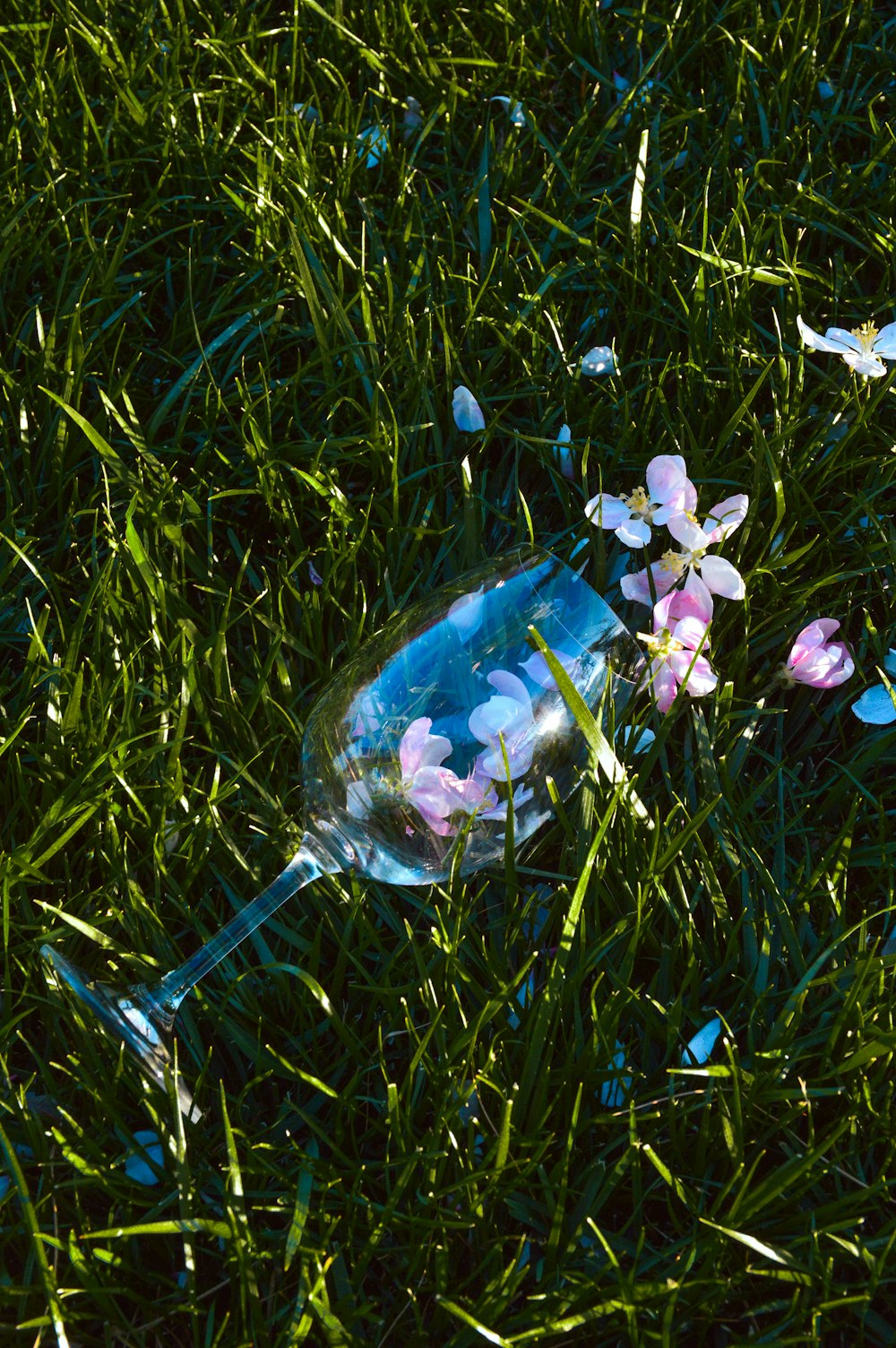 a glass bottle sitting on top of a lush green field