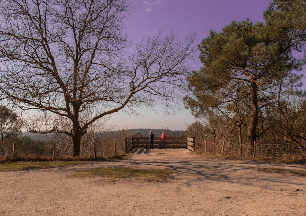 a dirt road surrounded by trees and a fence