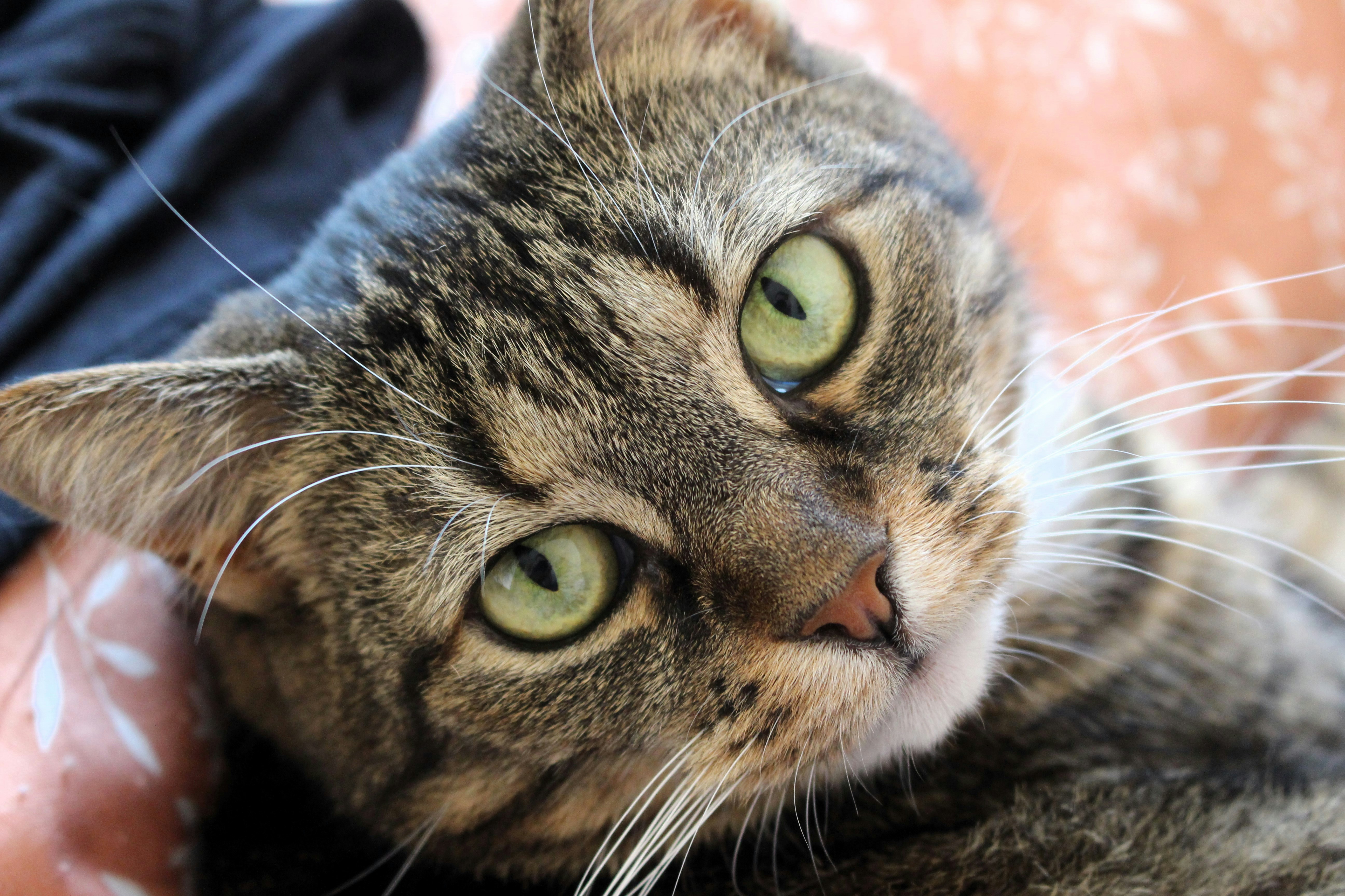 Photo by marjorylucabaxter