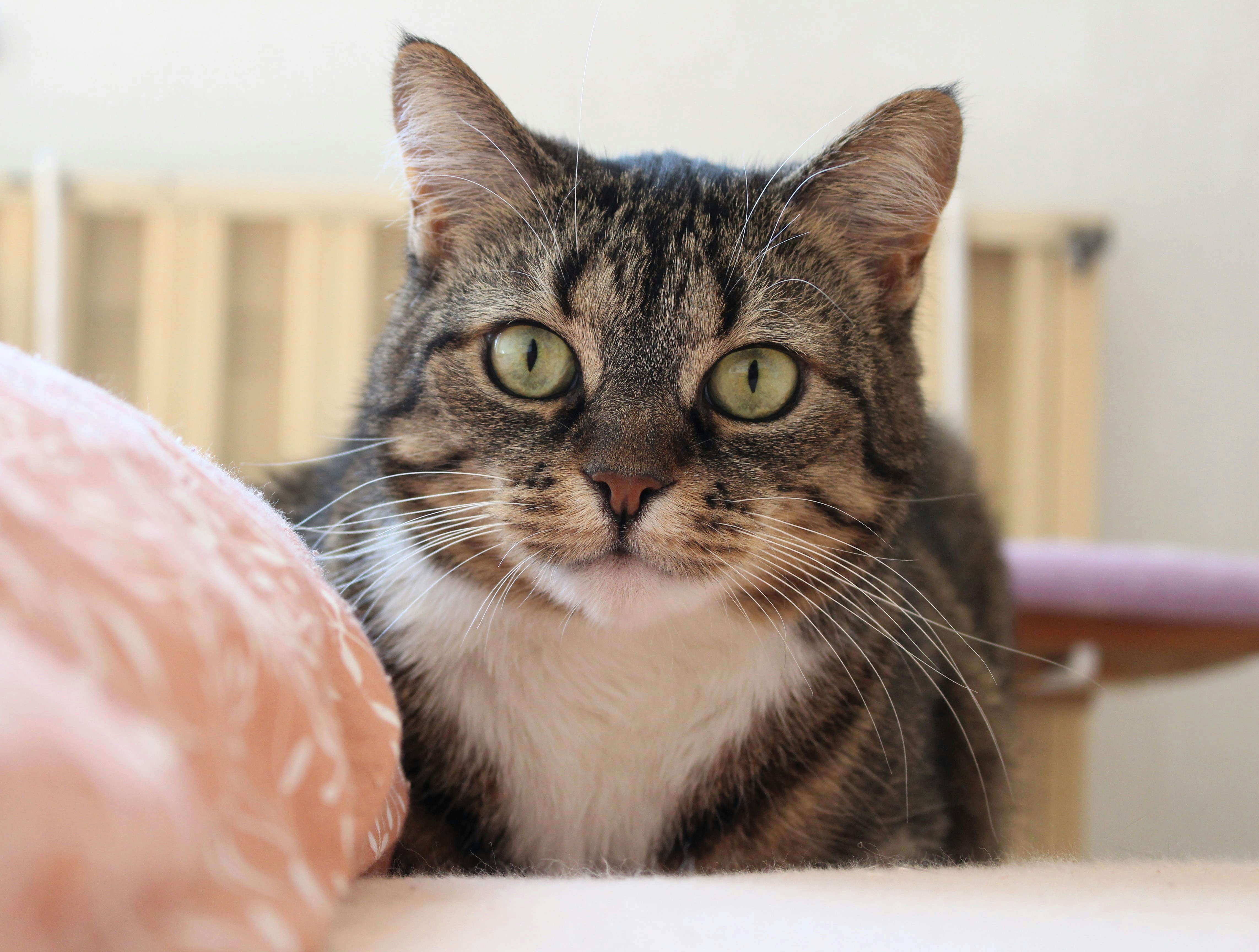 Photo by marjorylucabaxter