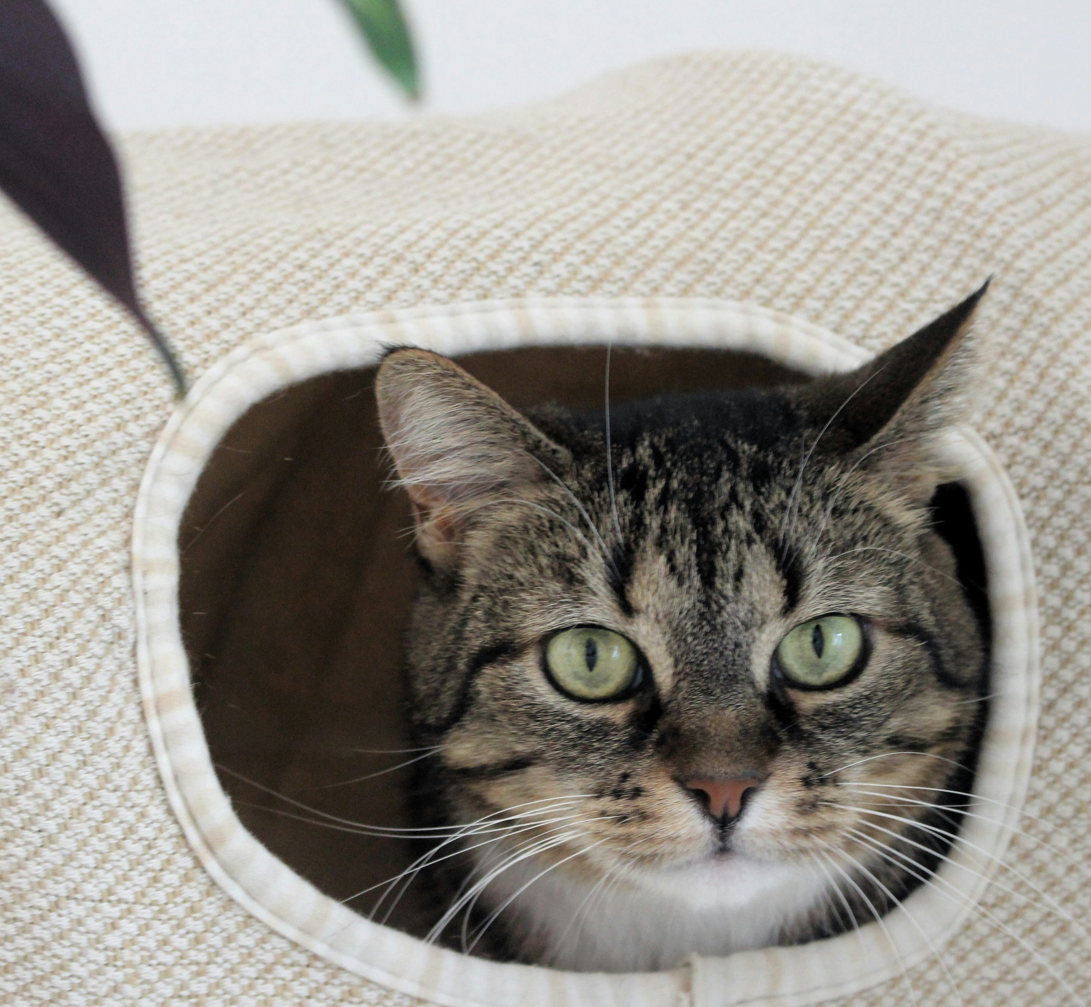 Photo by marjorylucabaxter