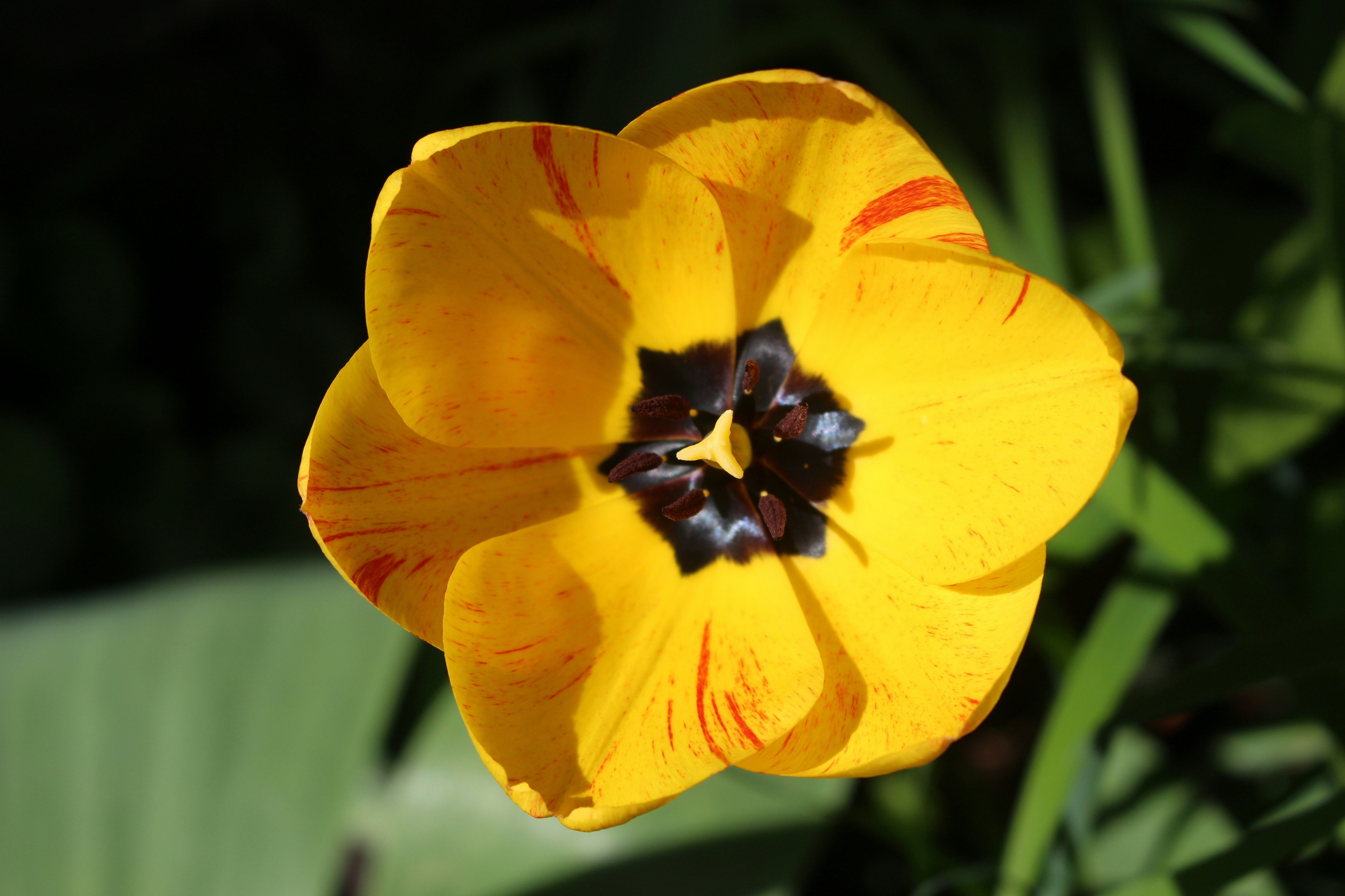 Photo by marjorylucabaxter