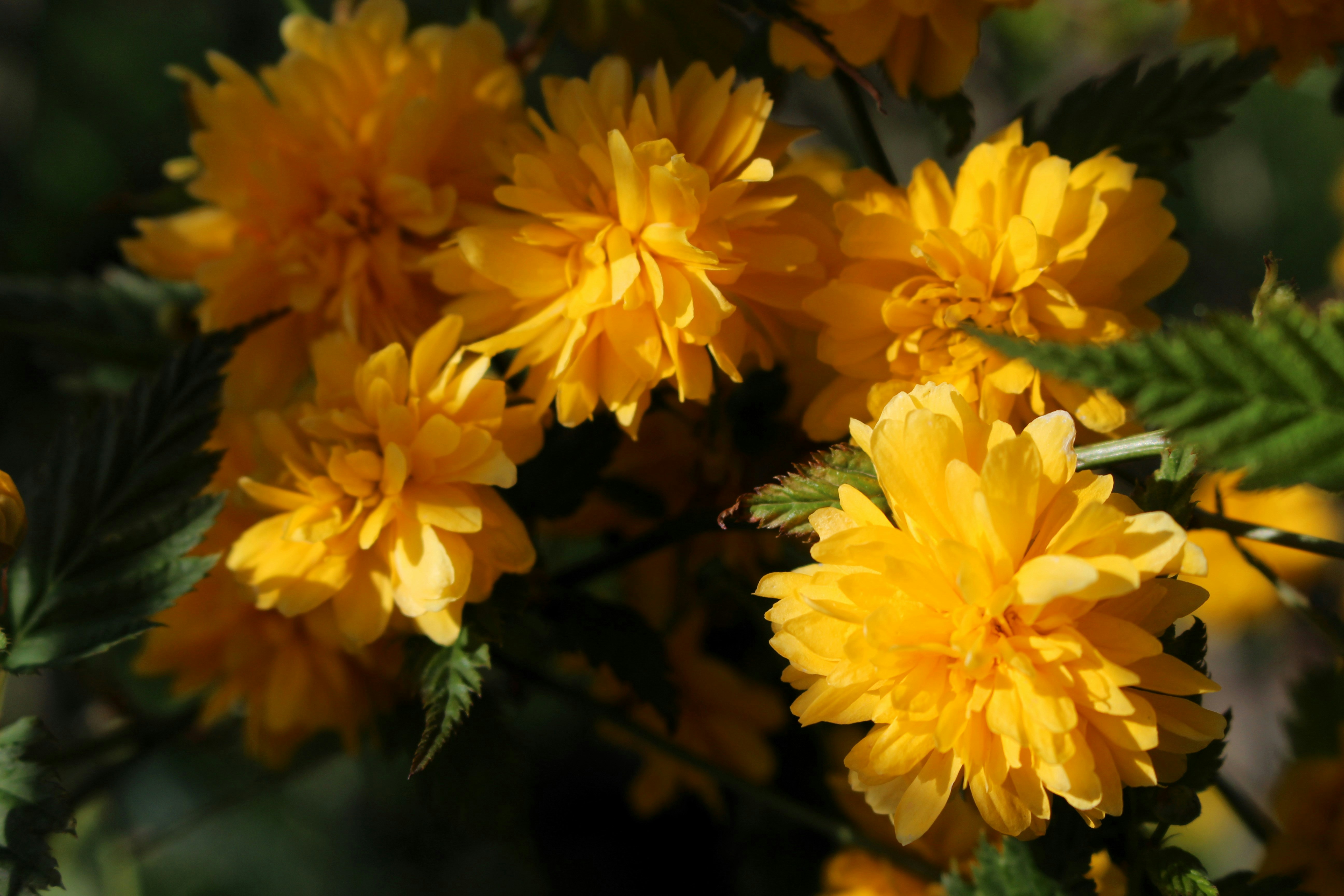 Photo by marjorylucabaxter