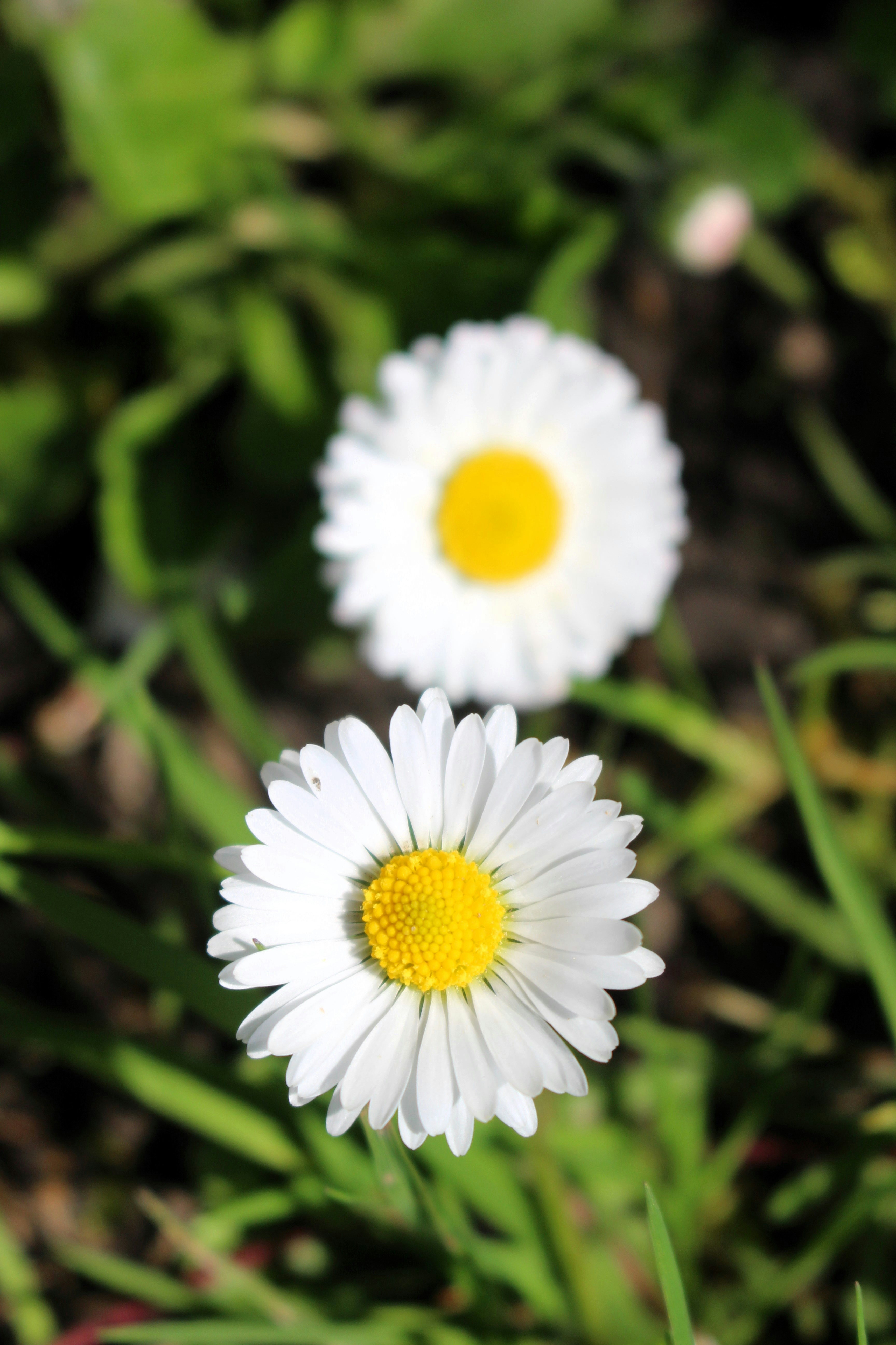 Photo by marjorylucabaxter