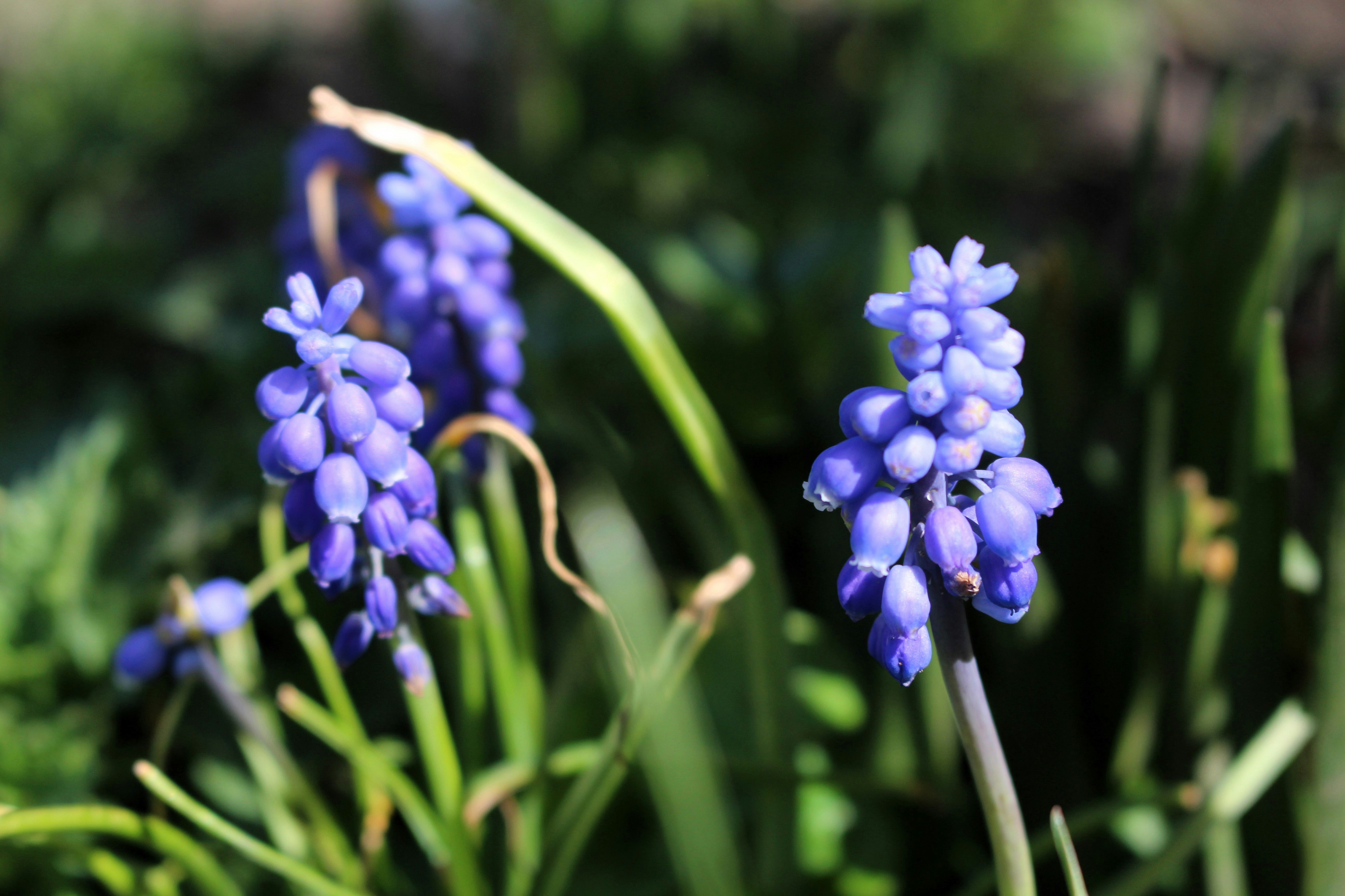 Photo by marjorylucabaxter