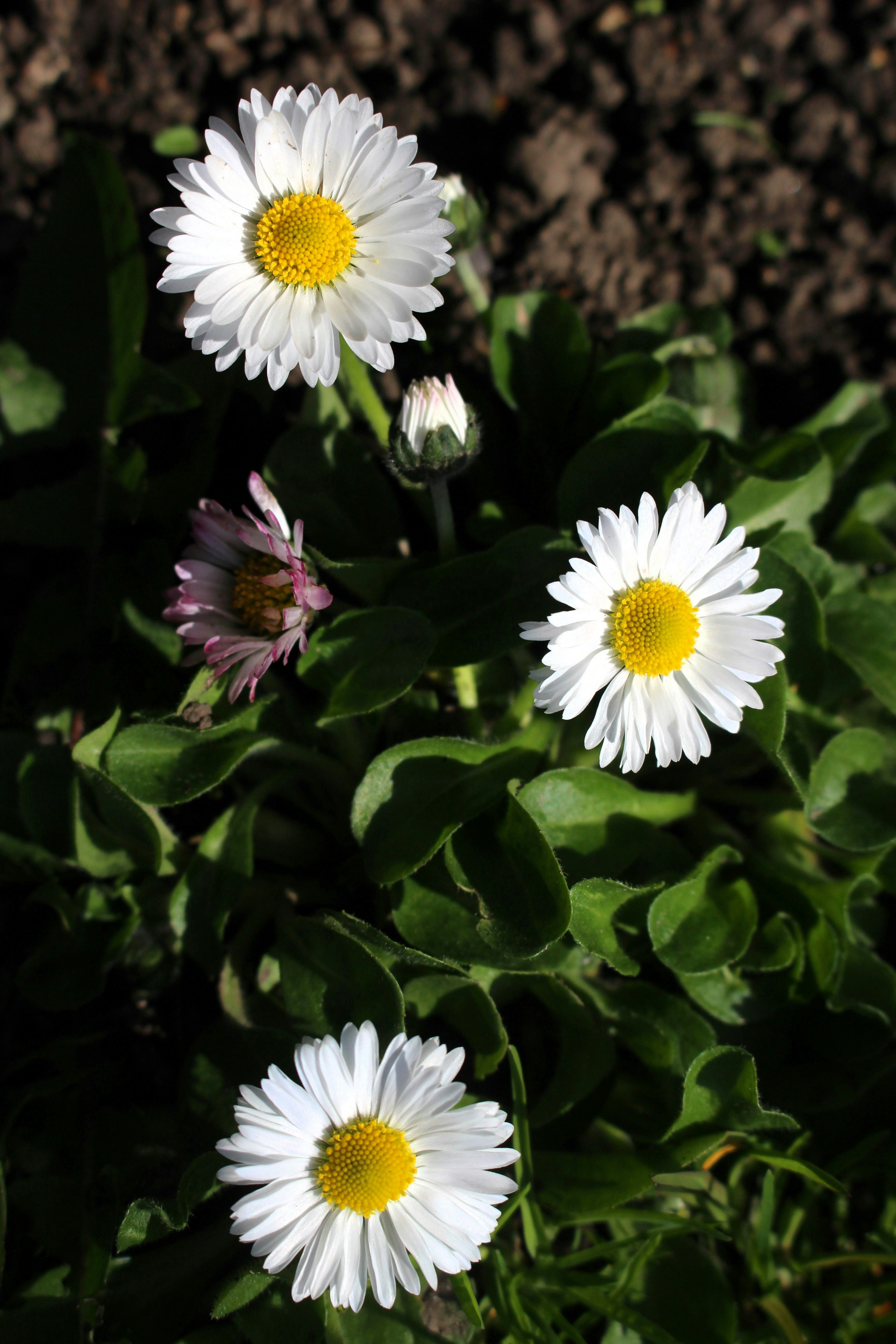 Photo by marjorylucabaxter