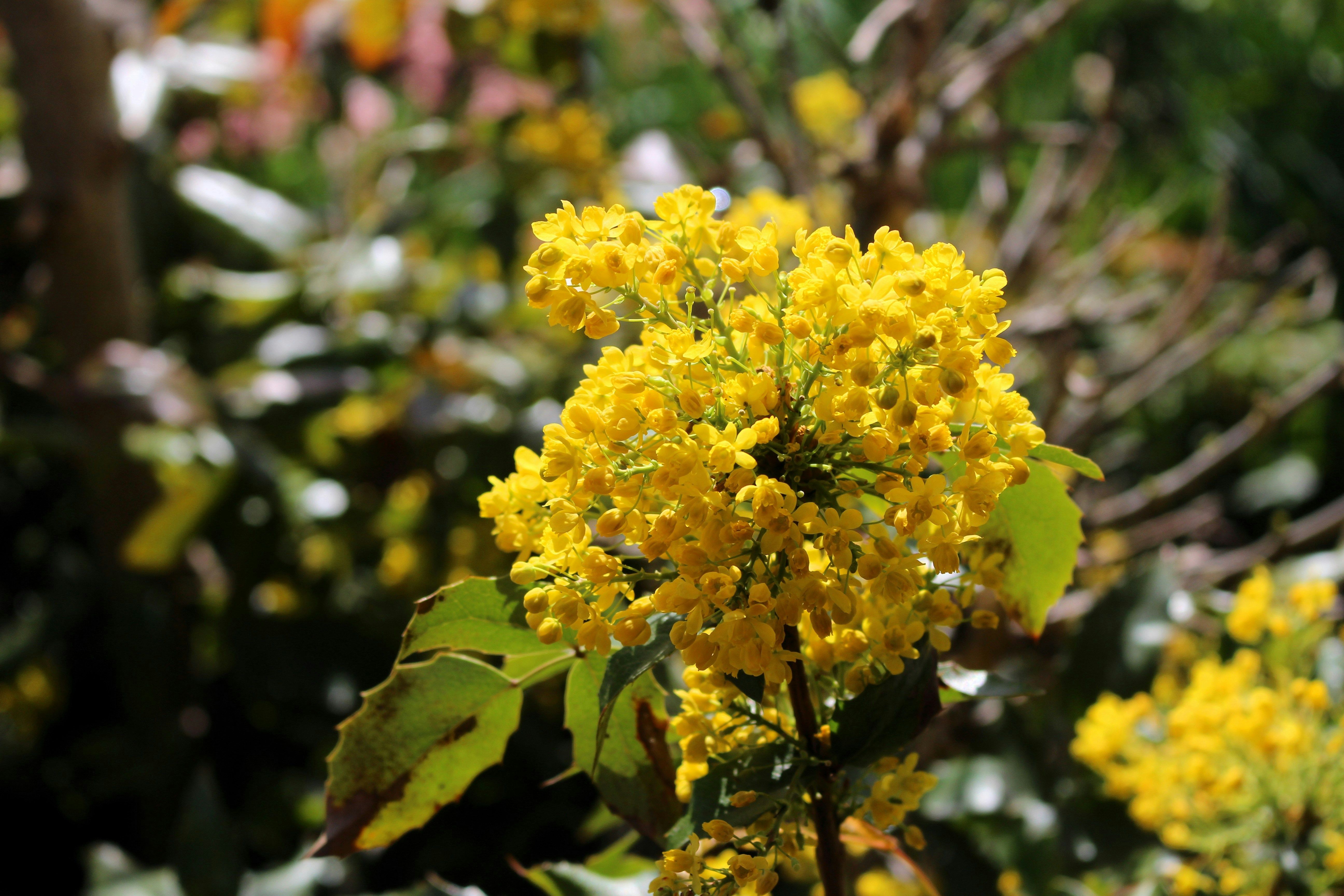 Photo by marjorylucabaxter