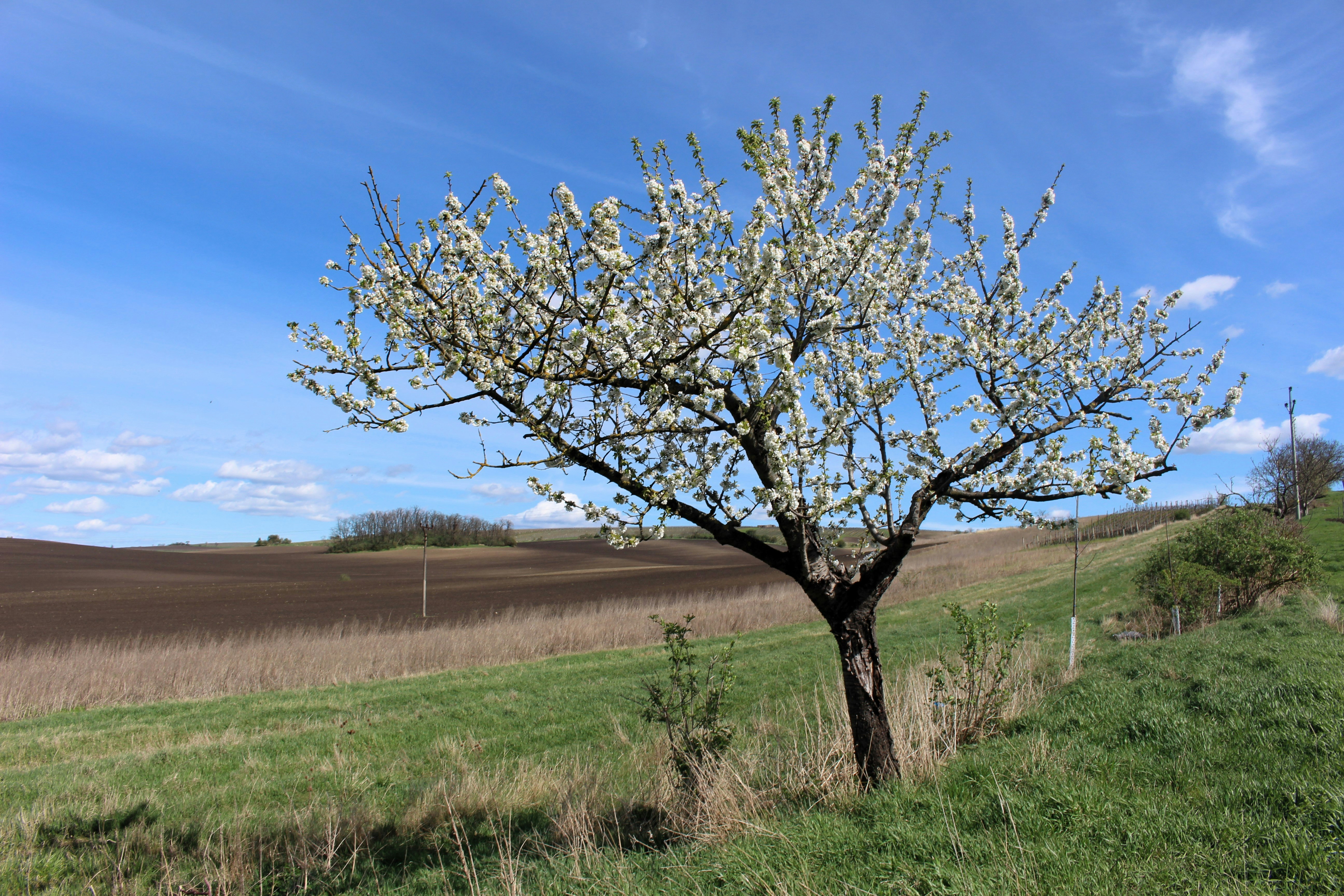 Photo by marjorylucabaxter