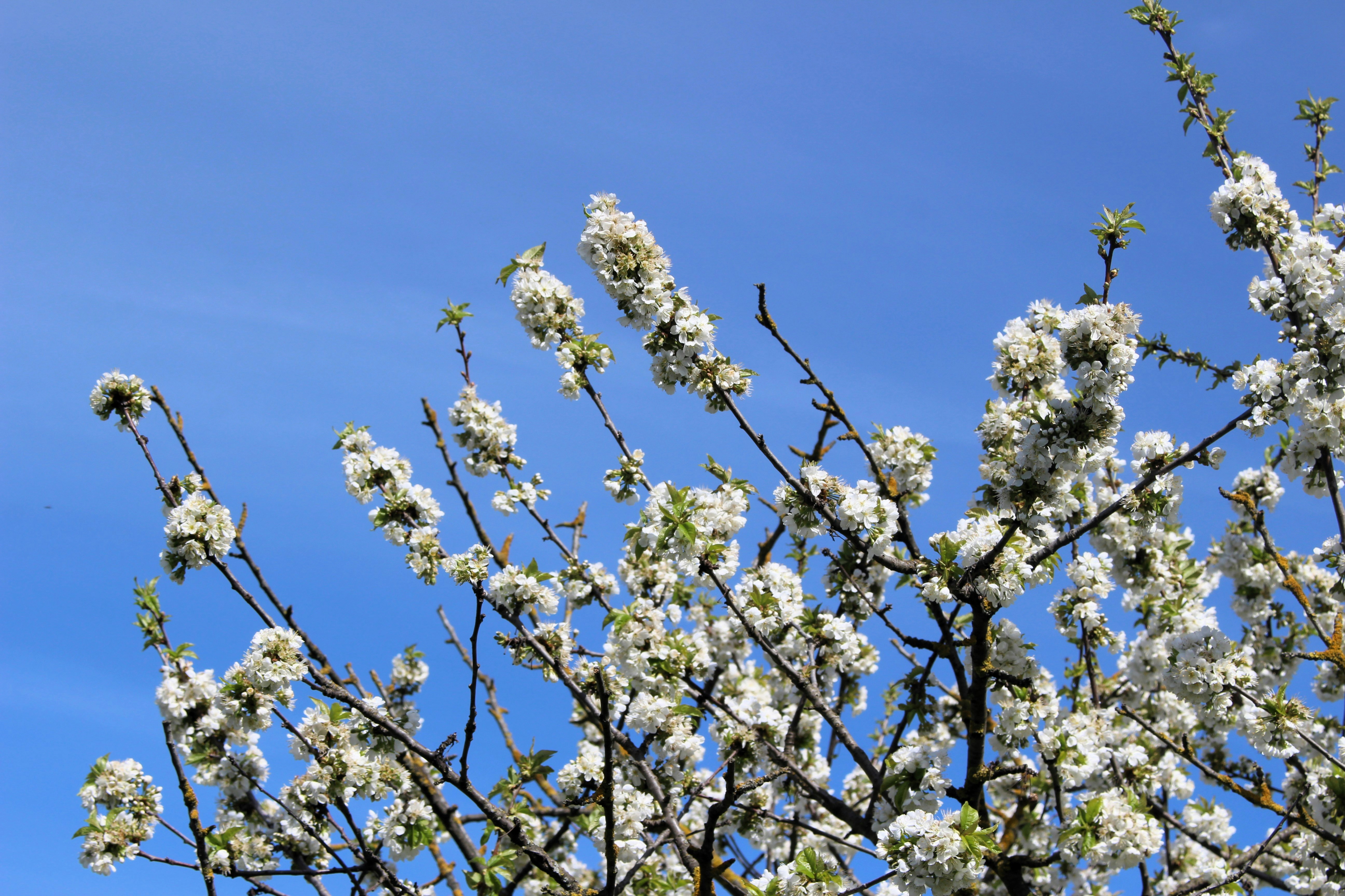 Photo by marjorylucabaxter