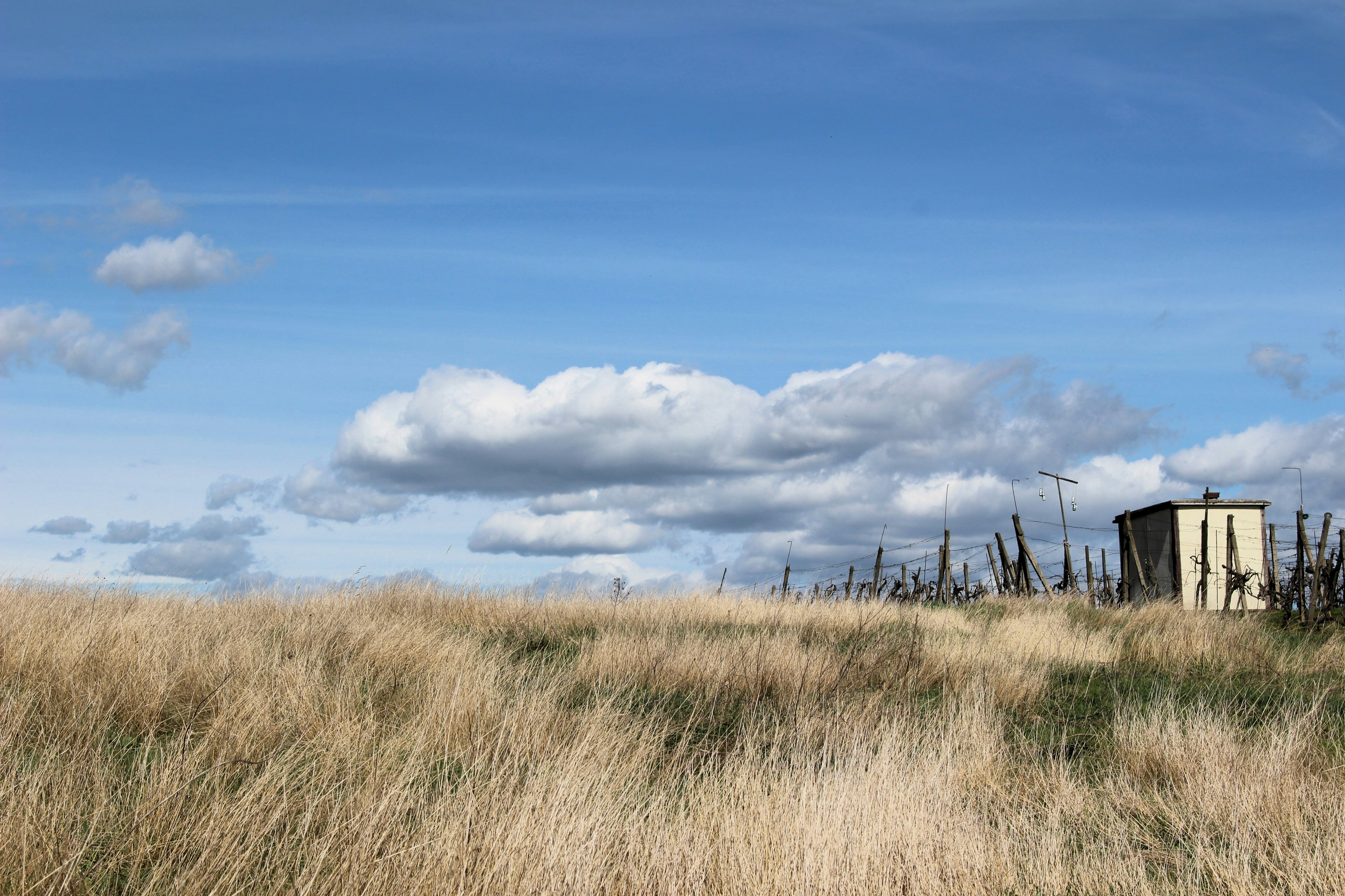 Photo by marjorylucabaxter