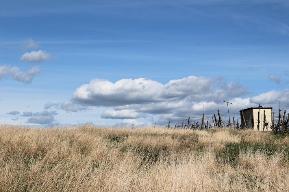 a building in the middle of a field of tall grass