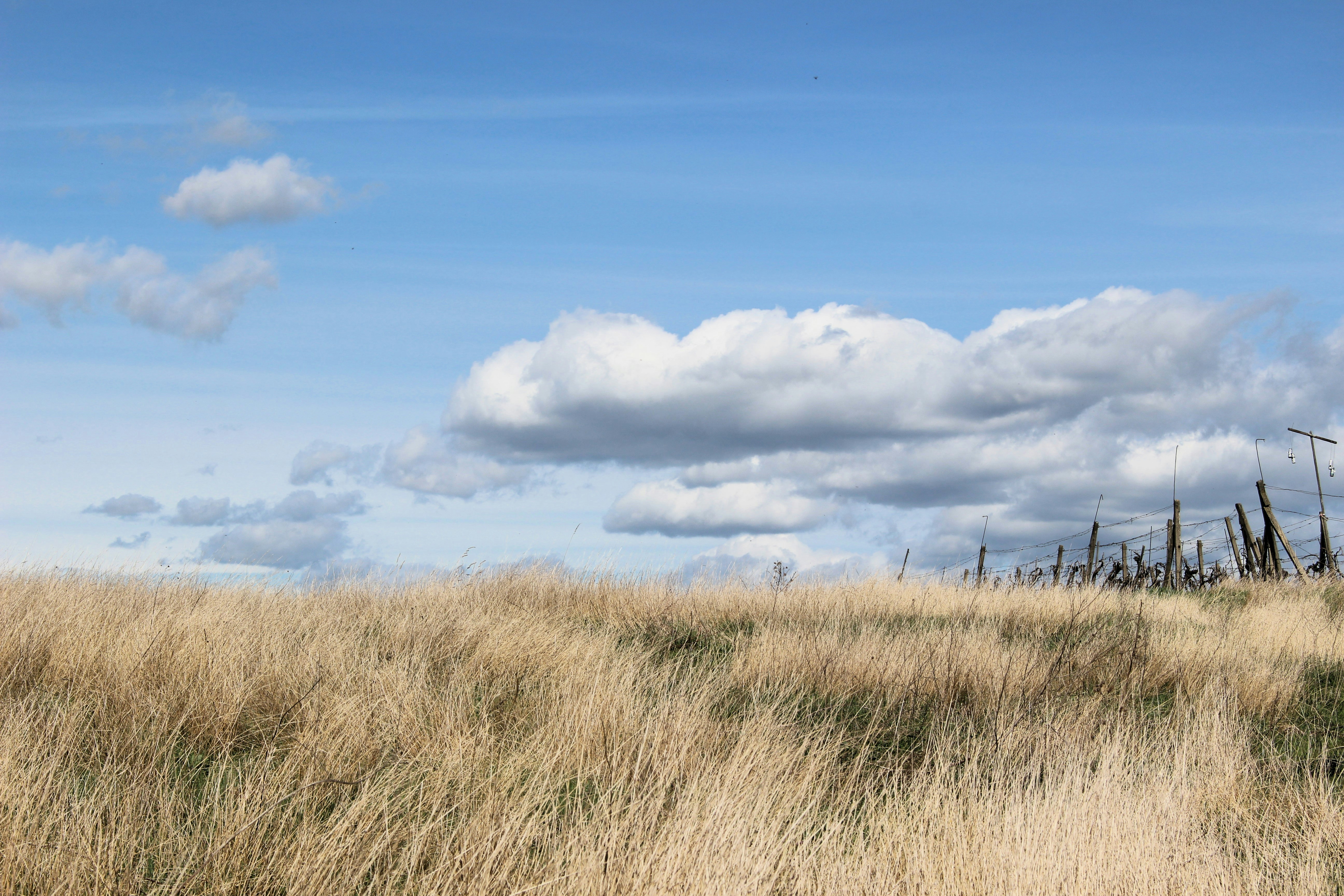 Photo by marjorylucabaxter