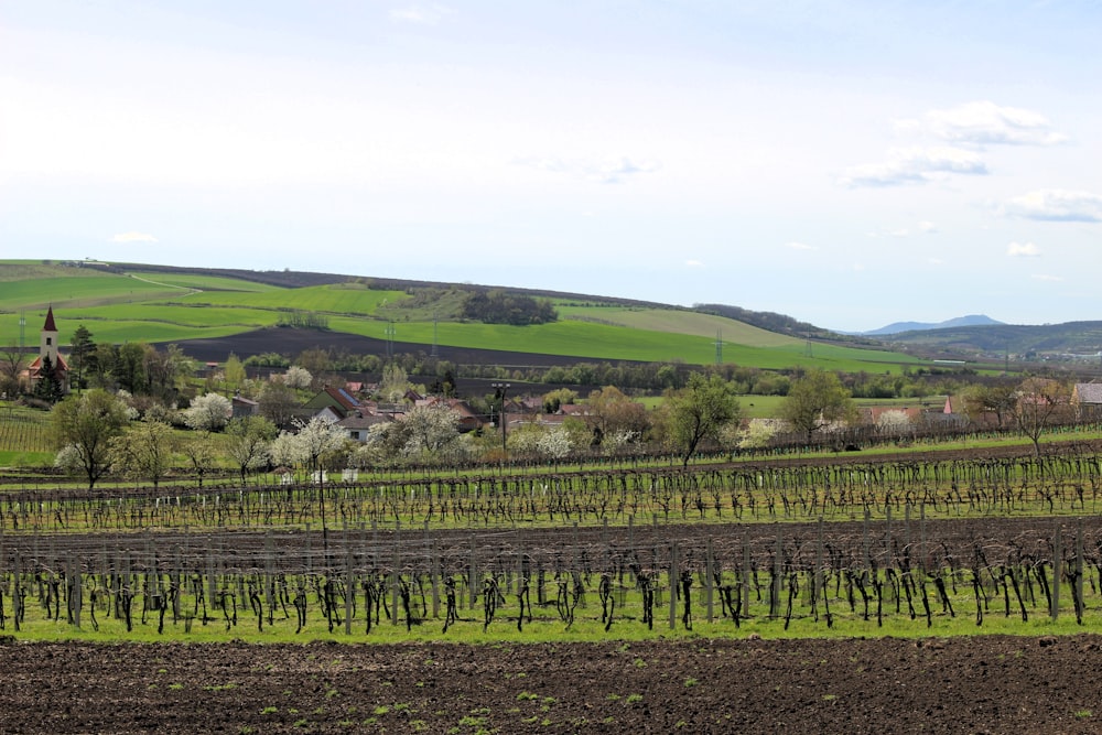 a large field with a small village in the distance