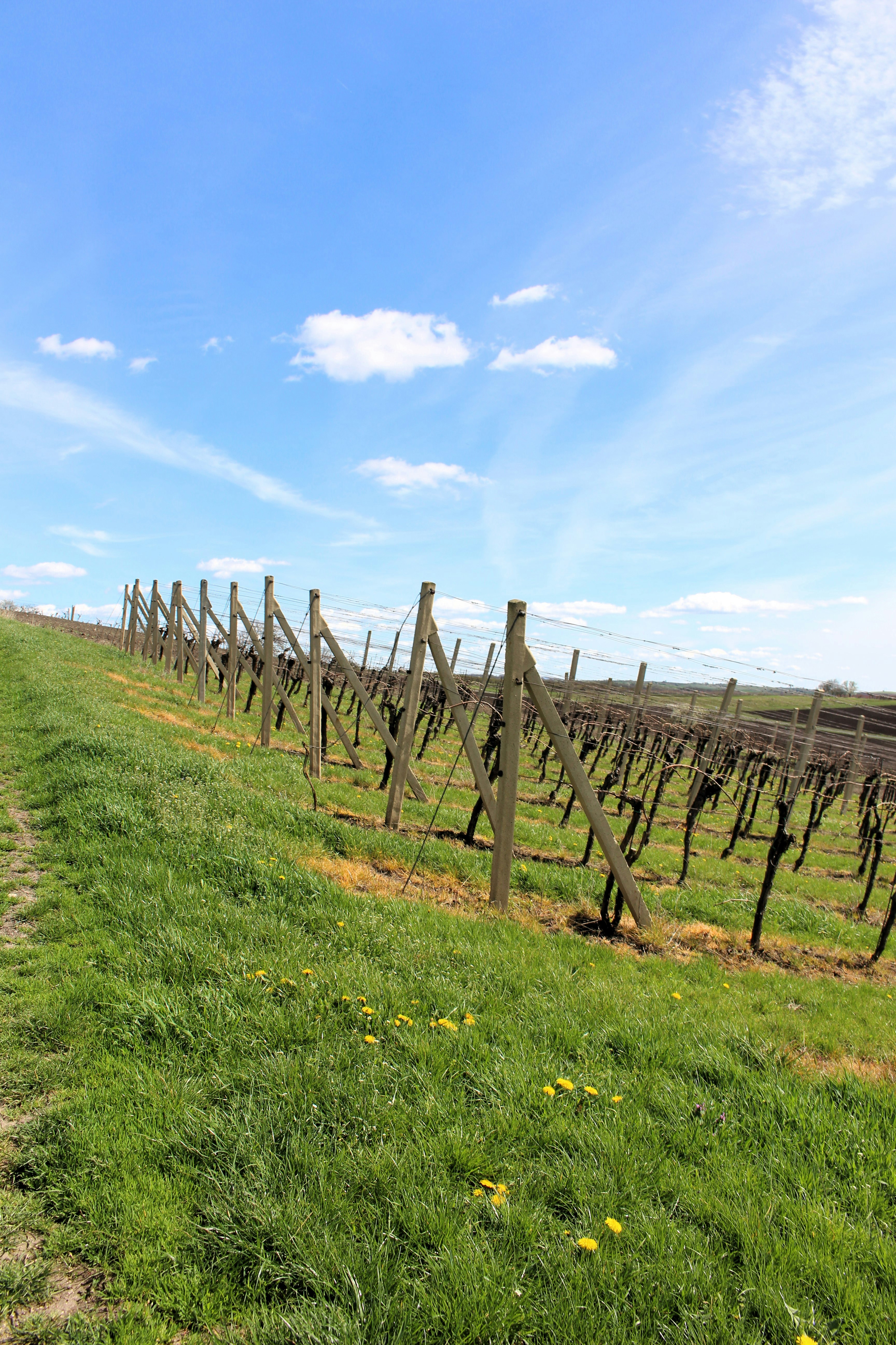 Photo by marjorylucabaxter