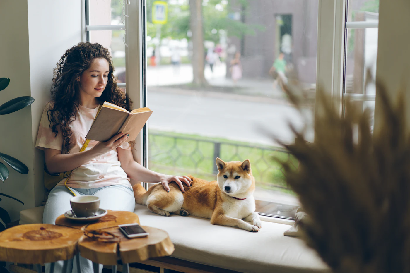 A woman sits on a sunlit window ledge reading a book with one hand resting on a calm Shiba Inu dog beside her
