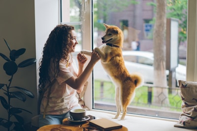 Mujer junto a una ventana jugando con su perro de pie, ambos sonríen.