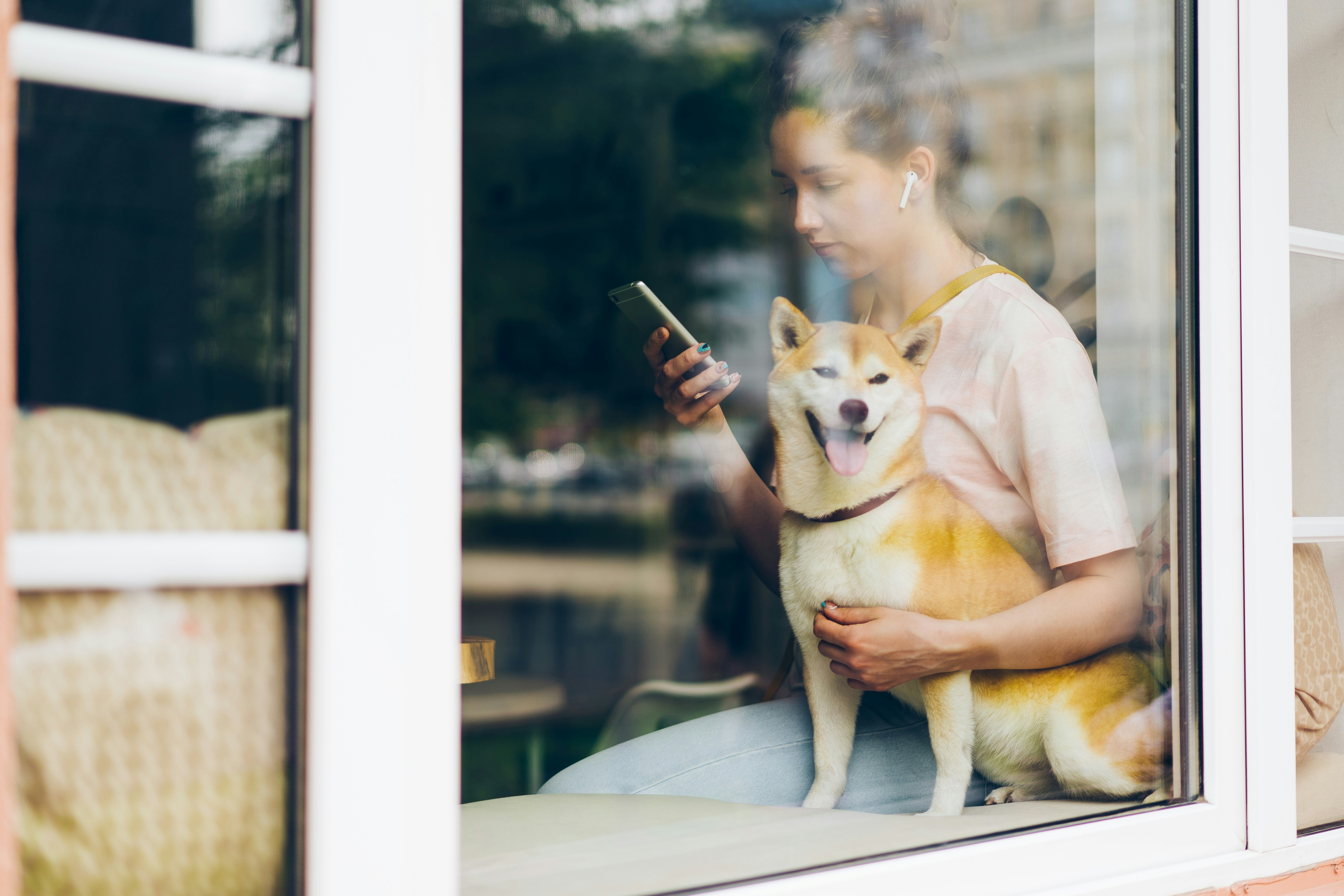 Renter using smartphone with pet-friendly apartment search filters - Chicago apartments no breed restrictions