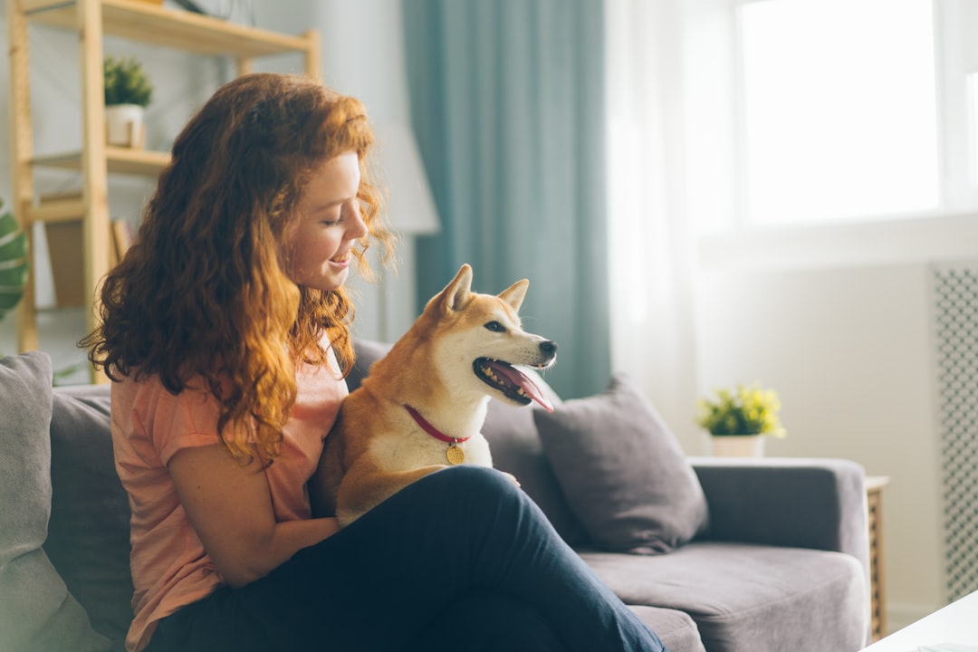 a woman sitting on a couch holding a dog, Pretty redhead woman hugging doggy sitting on couch in apartment smiling