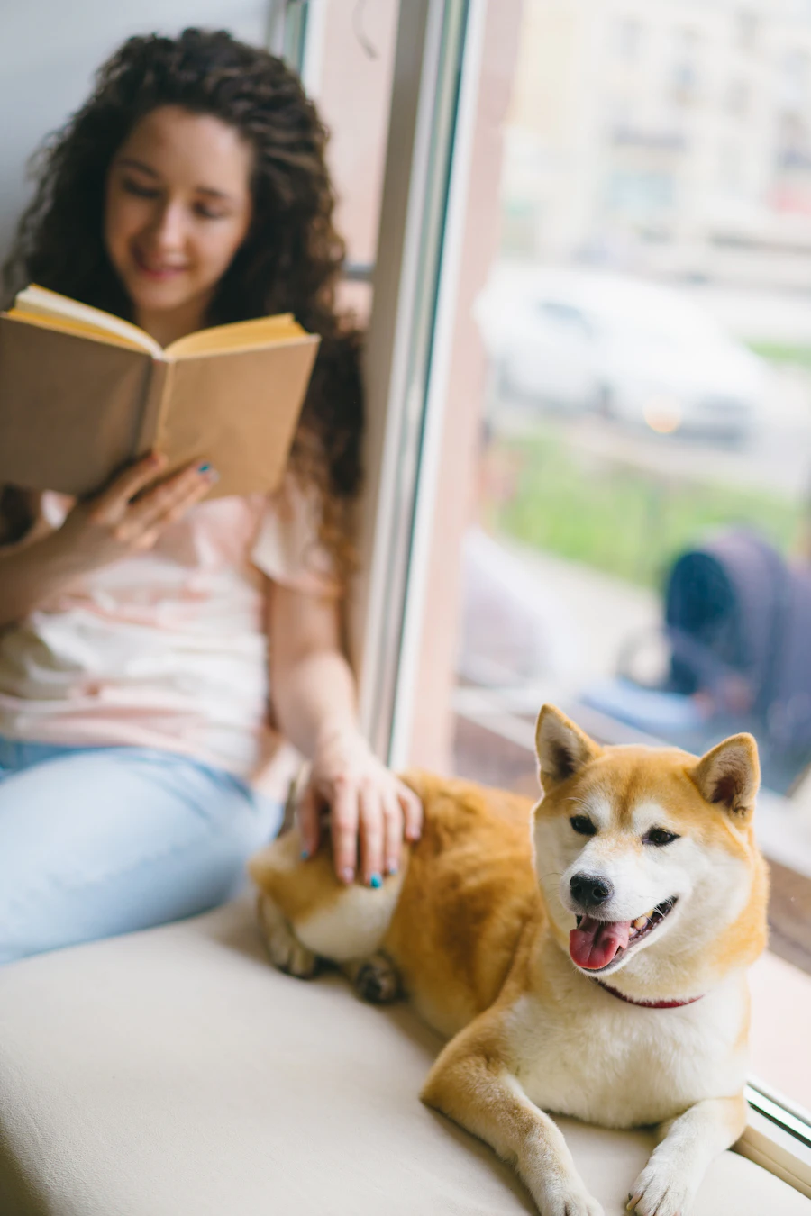 A smiling young woman sits by a sunny window reading a book with one hand resting on a calm Shiba Inu dog beside her