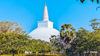 a large white building surrounded by trees on a sunny day