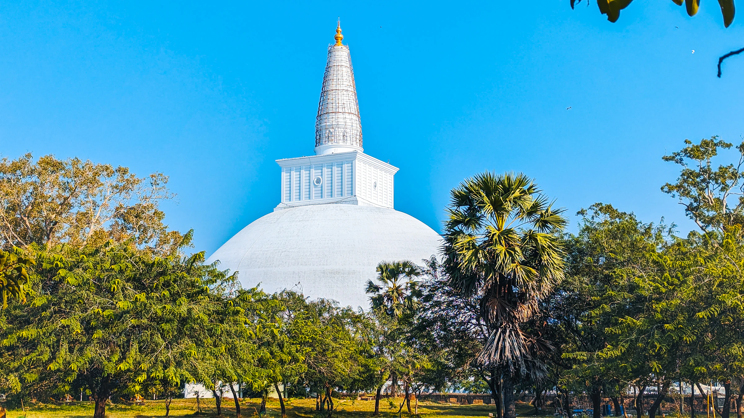 The great white stupa of Anuradhapura among the trees