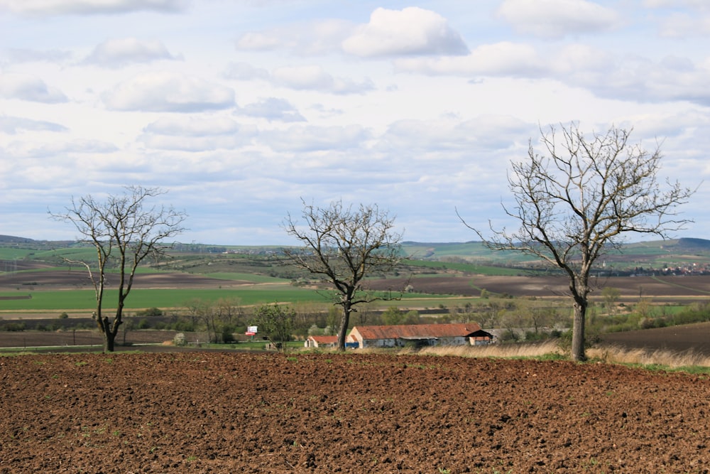a plowed field with a few trees in the foreground
