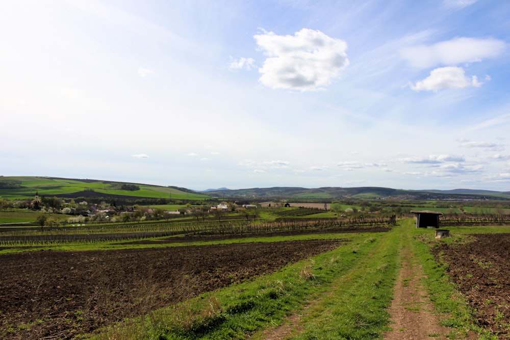 un campo agricolo con un sentiero sterrato che porta a un camion