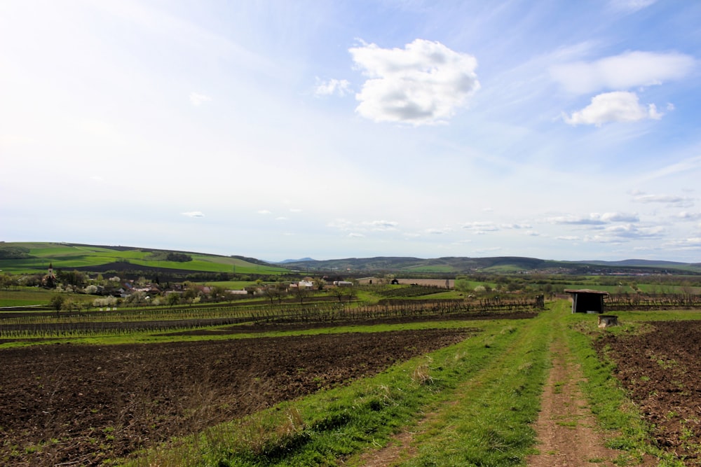 a farm field with a dirt path leading to a truck